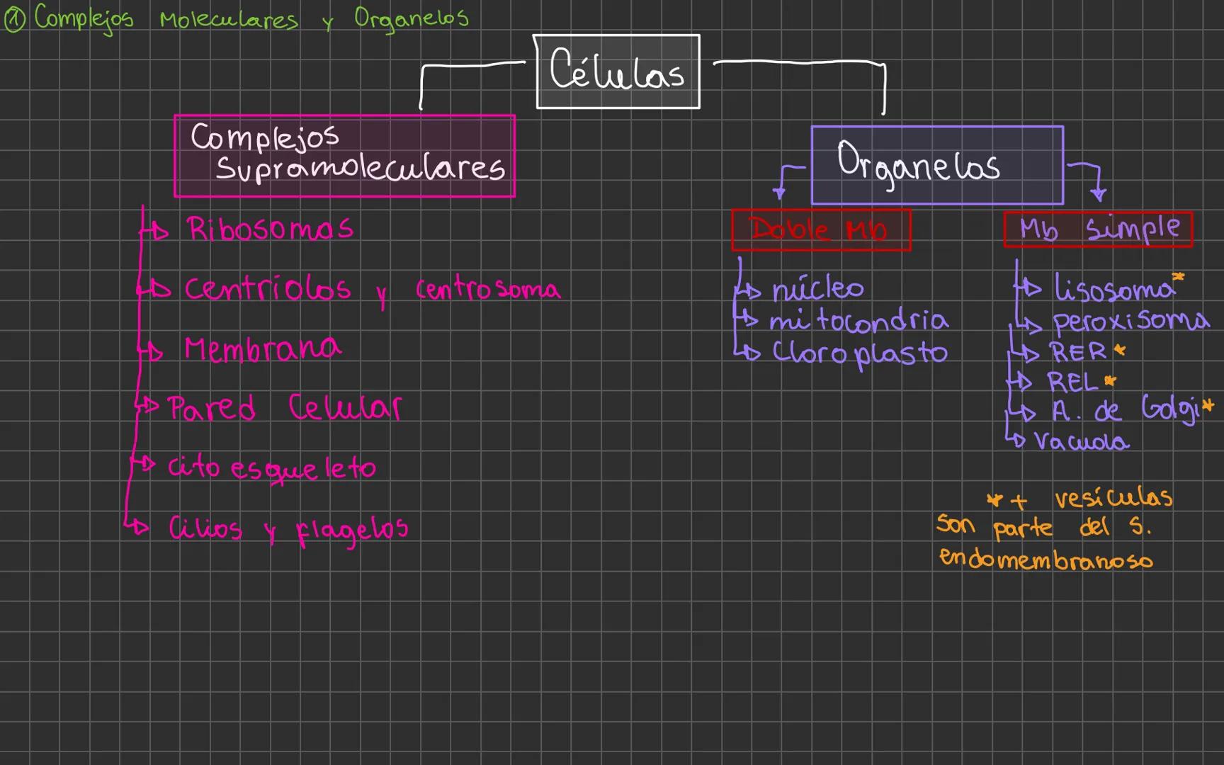 Complejos Moleculares y Organelos
Niveles de Organizao
P. elementales
↓
P+e-N0
P. sub-atómicas
↓
Atómos
↓
Moleculas
cel.
→
orgános
↓
Sistema