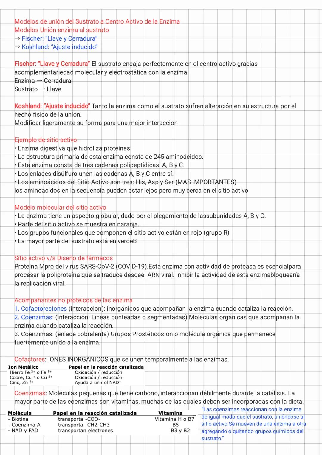 ENZIMAS → Proteínas con actividad catalítica (Excepto las Ribozimas que son moléculas de RNA que
actúan como catalizadores)
Prácticamente to