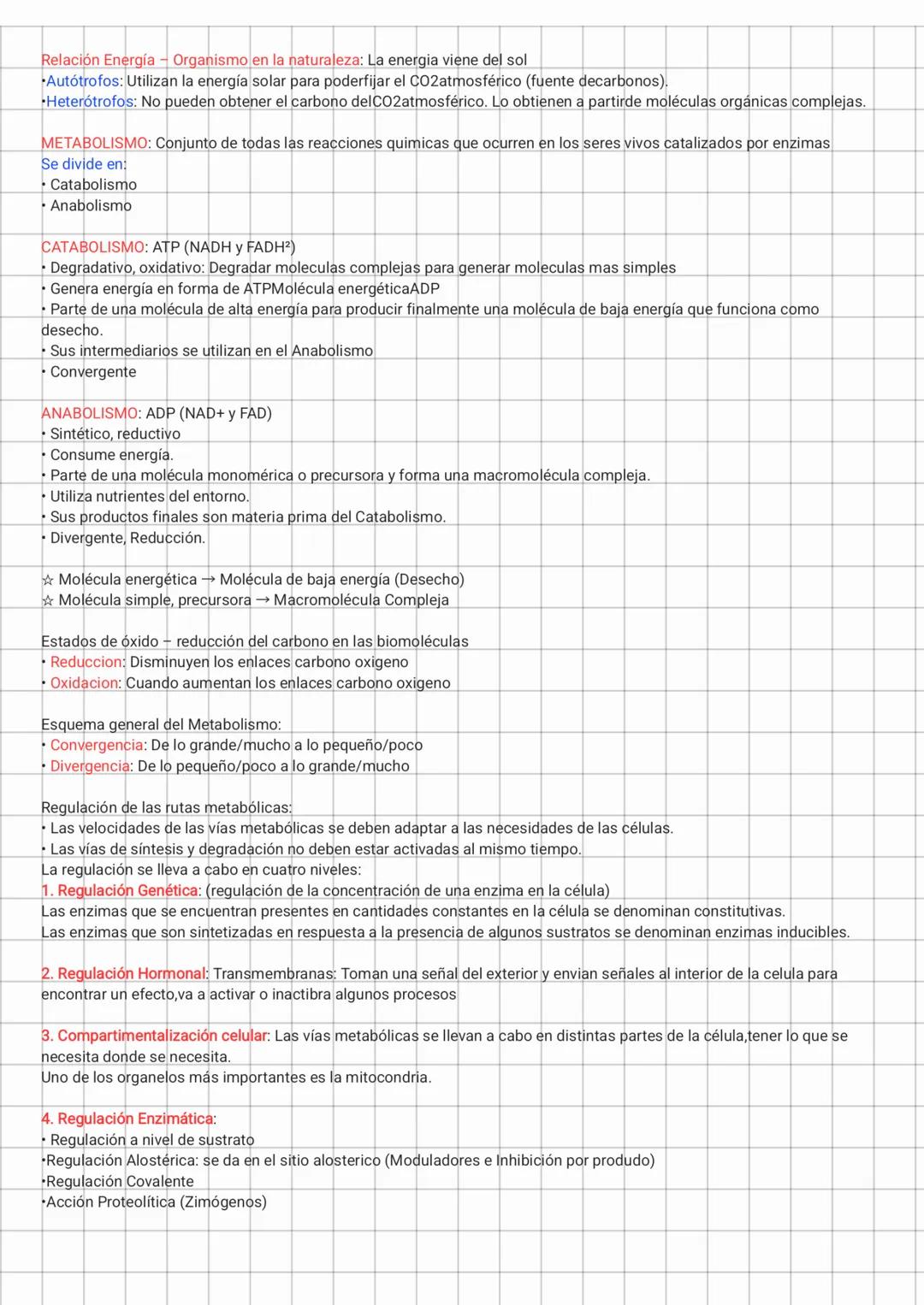 Metabolismo, Catabolismo y Anabolismo