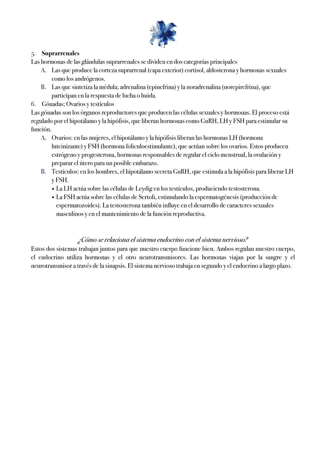 Sistema endocrino
¿Qué es el sistema endocrino?
El sistema endocrino es un conjunto de glándulas y órganos que producen y liberan hormonas e