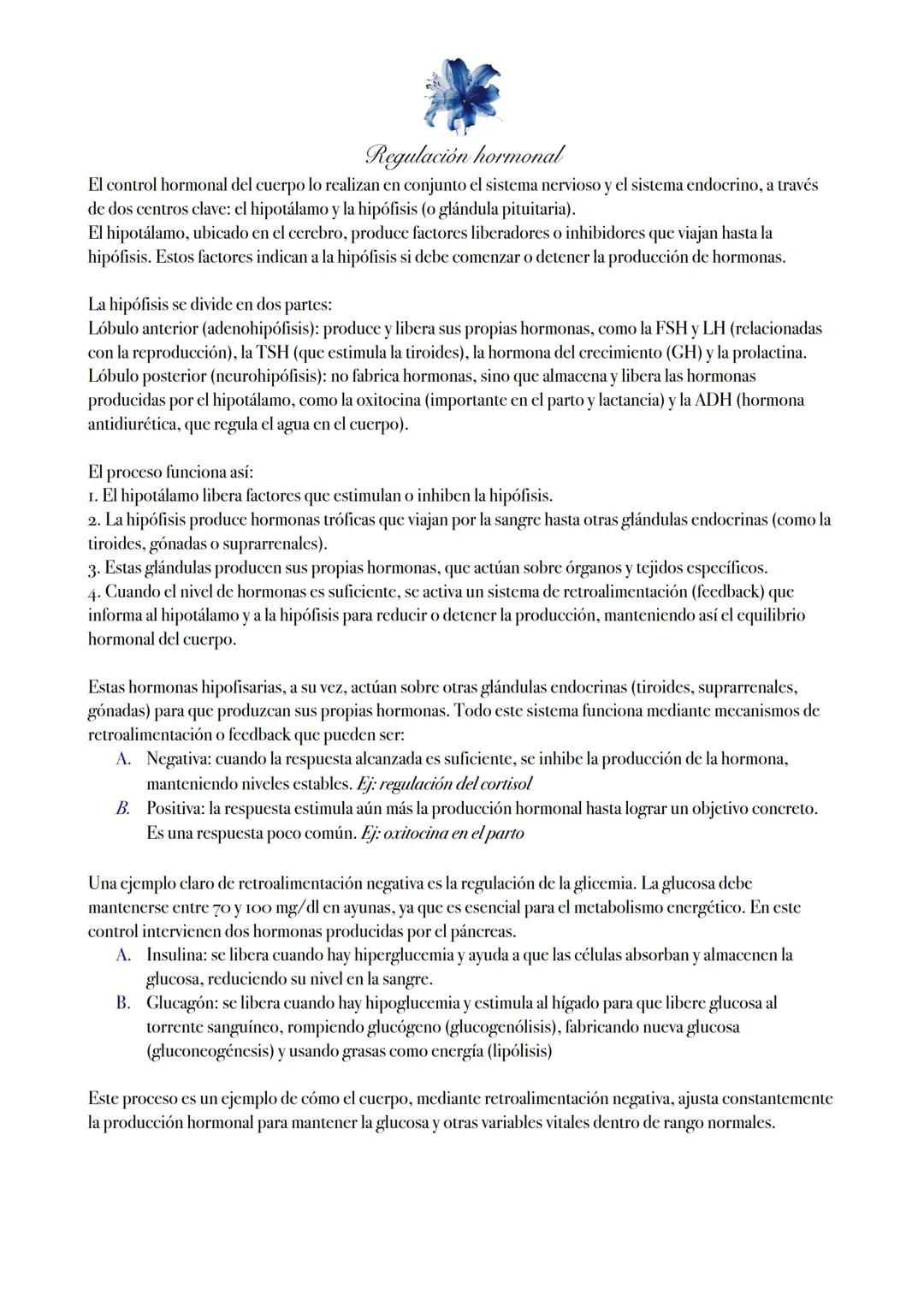 Sistema endocrino
¿Qué es el sistema endocrino?
El sistema endocrino es un conjunto de glándulas y órganos que producen y liberan hormonas e