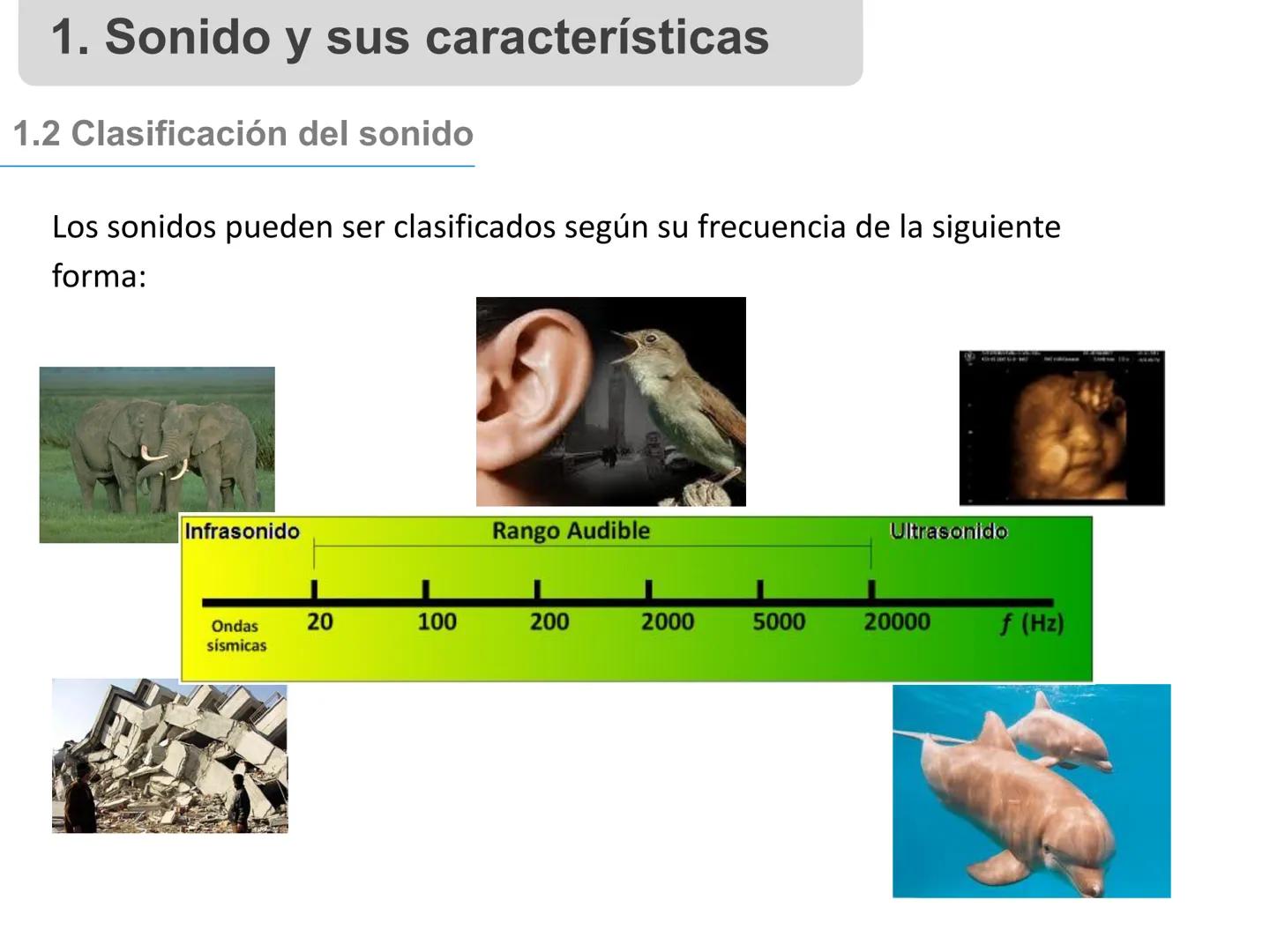# 1. Sonido, sus características y
propiedades
Profesora: Angela Pinto 1. Sonido y sus características
1.1 Definición
El sonido es una onda