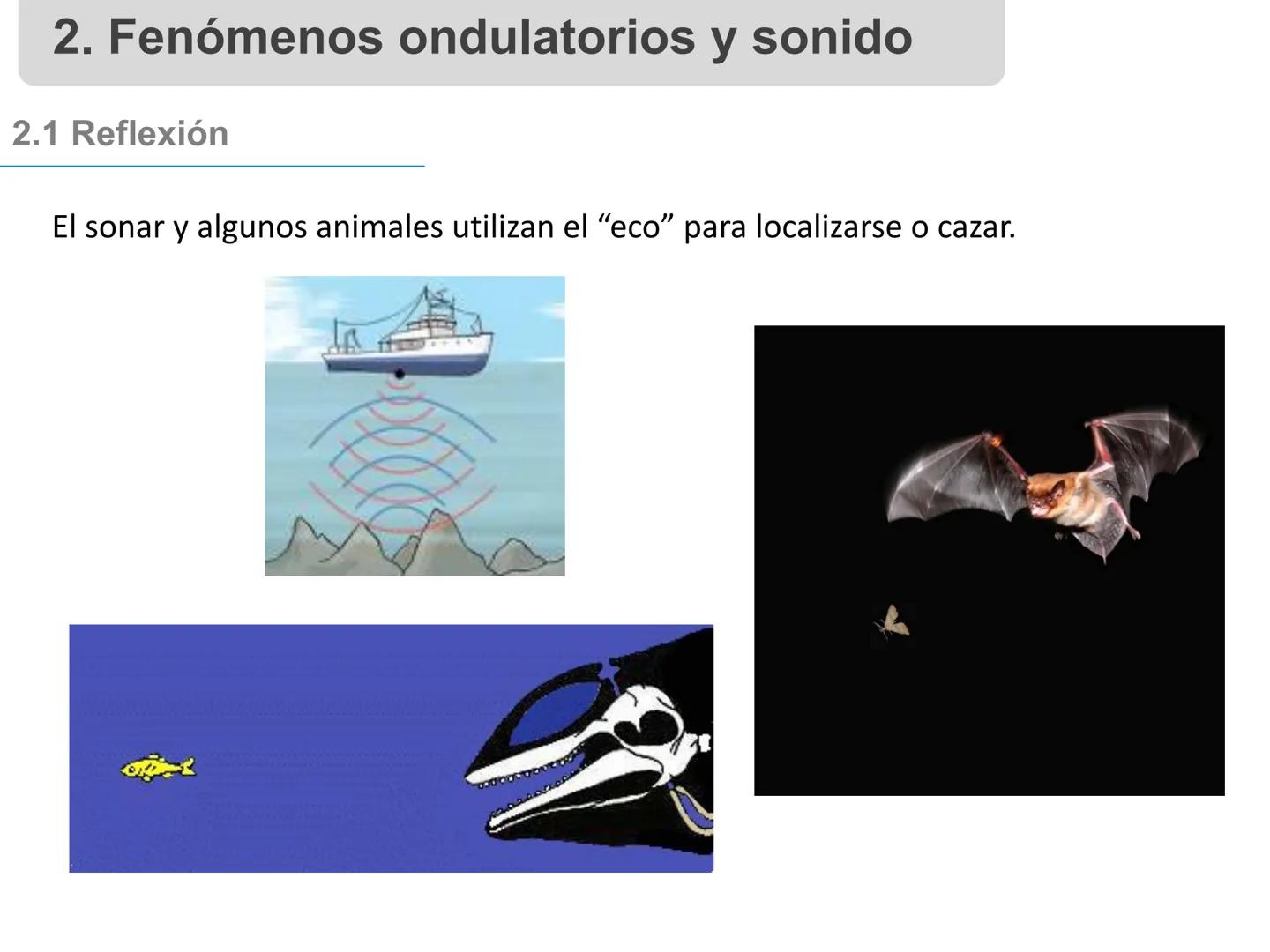 # 1. Sonido, sus características y
propiedades
Profesora: Angela Pinto 1. Sonido y sus características
1.1 Definición
El sonido es una onda