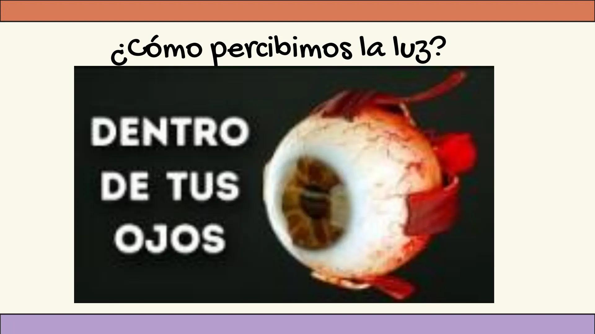 # 11 unidad
Óptica
geométrica
Lentes Objetivo:
Comprender la
formación de
imágenes en
lentes
convergentes y
divergentes. Formación de imág