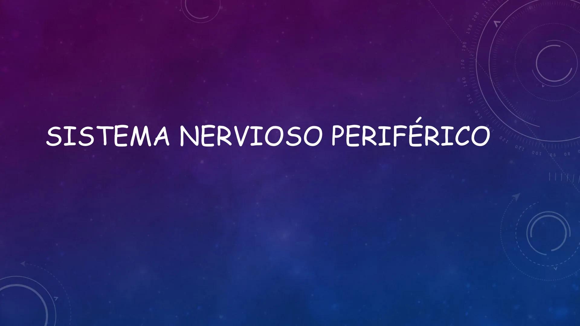 SISTEMA NERVIOSO
SEGUNDO MEDIO
V
40
150
160
170
180
190
200
210
220
230
240
250
260 OA 1 Explicar cómo el sistema nervioso coordina las
acci