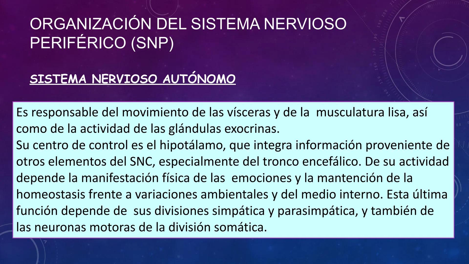SISTEMA NERVIOSO
SEGUNDO MEDIO
V
40
150
160
170
180
190
200
210
220
230
240
250
260 OA 1 Explicar cómo el sistema nervioso coordina las
acci