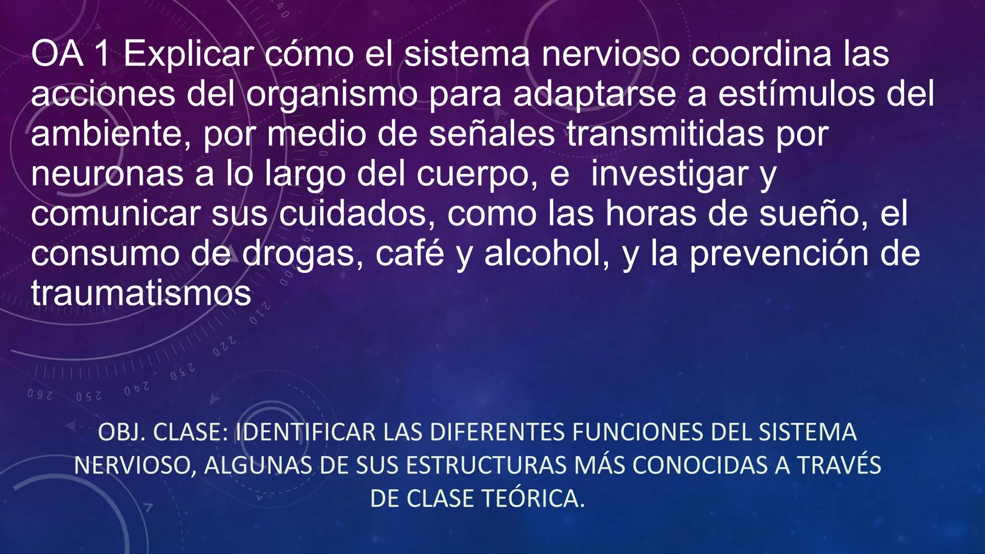 SISTEMA NERVIOSO
SEGUNDO MEDIO
V
40
150
160
170
180
190
200
210
220
230
240
250
260 OA 1 Explicar cómo el sistema nervioso coordina las
acci