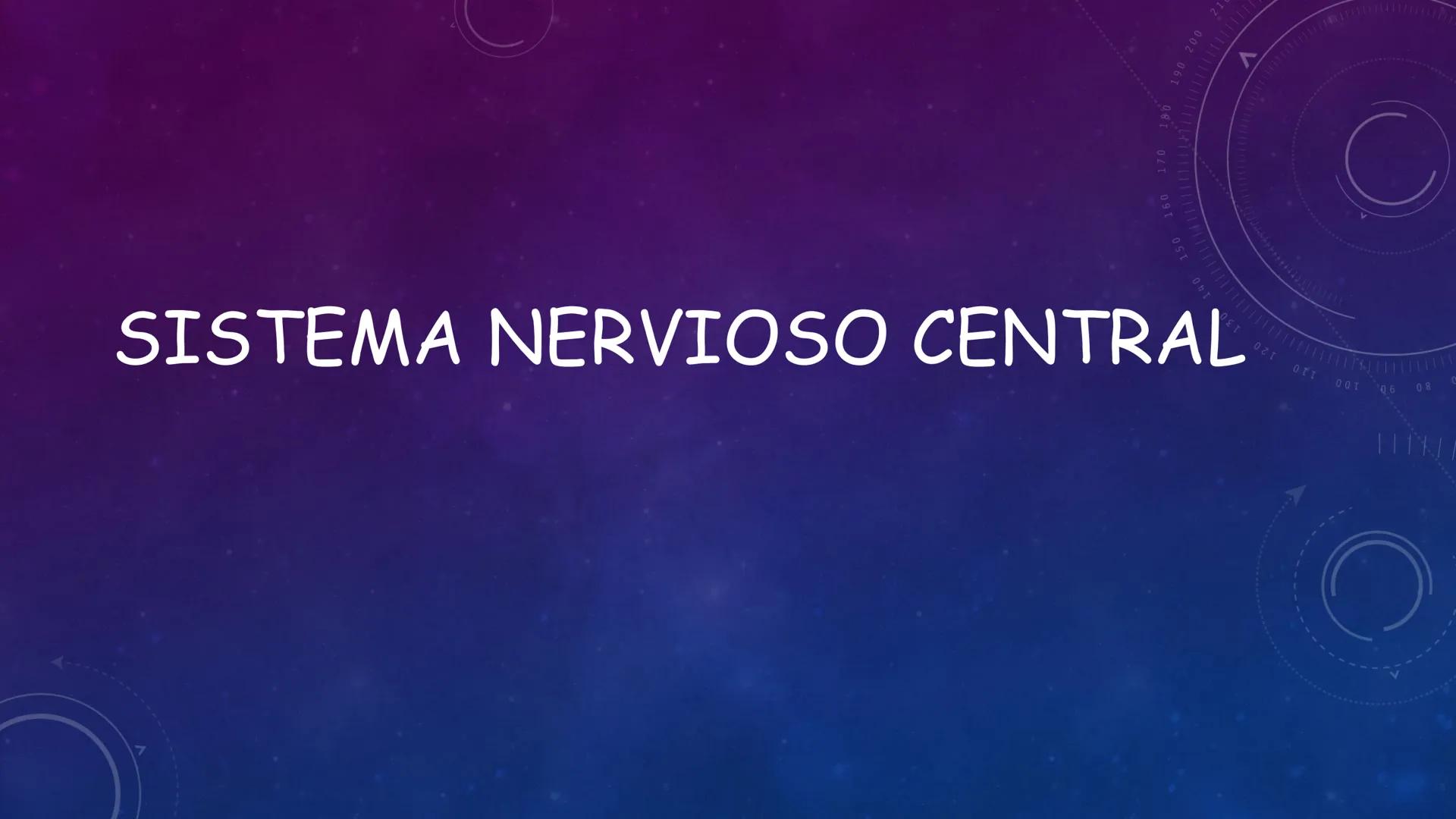 SISTEMA NERVIOSO
SEGUNDO MEDIO
V
40
150
160
170
180
190
200
210
220
230
240
250
260 OA 1 Explicar cómo el sistema nervioso coordina las
acci