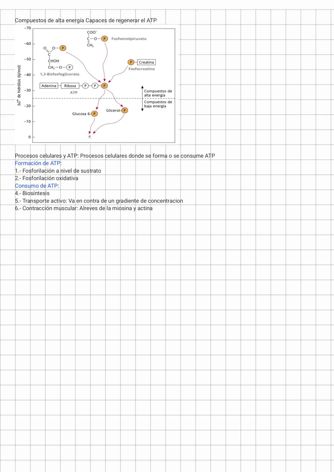 Nutrientes que
contienen energia
Productos finales de
baja energia
Catabolismo
Carbohidratos
Grasas
Proteinas
CO2
H20
NH3
ATP
ADP+HPO
NAD
NA
