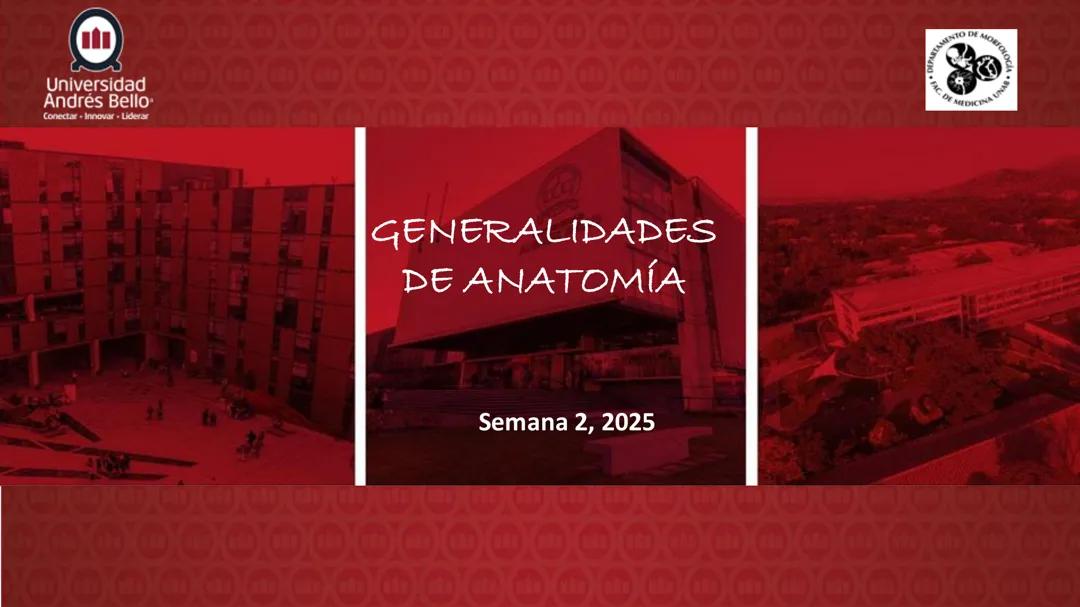 Generalidades de anatomia