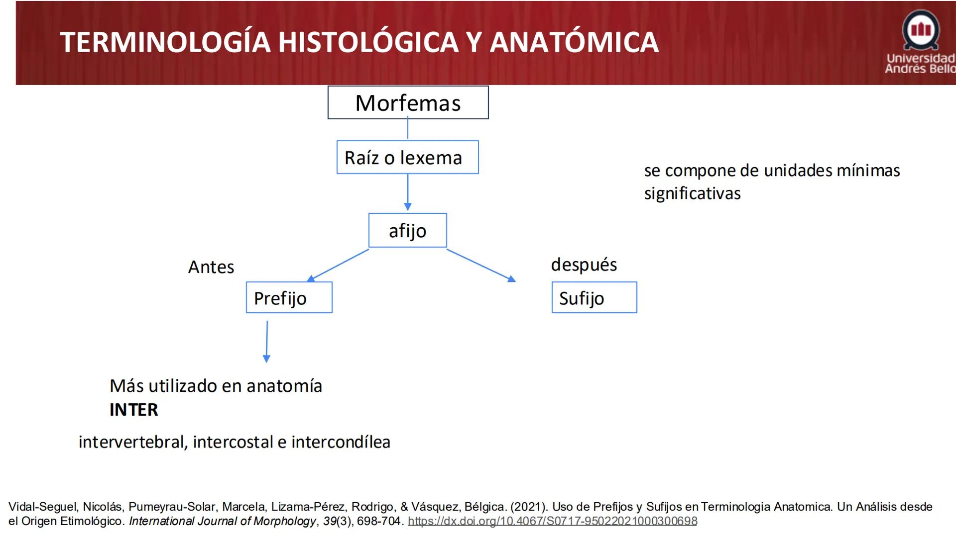 Universidad
Andrés Bello
Conectar 
Innovar 
Liderar
GENERALIDADES
DE ANATOMÍA
Semana 2, 2025 # OBJETIVOS DE APRENDIZAJES
- Generalidades de