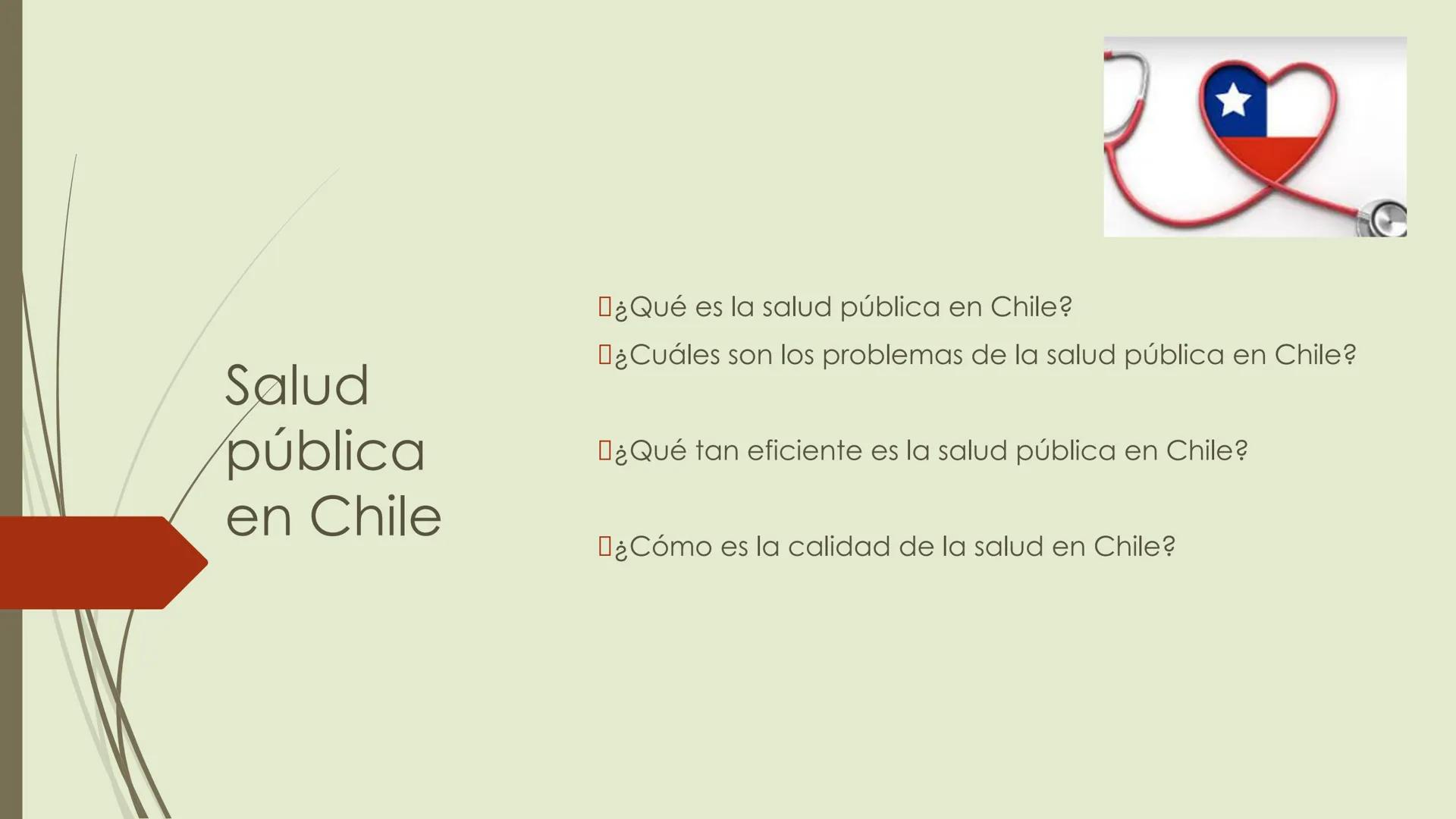 Salud
pública
en Chile
¿Qué es la salud pública en Chile?
¿Cuáles son los problemas de la salud pública en Chile?
¿Qué tan eficiente es la s