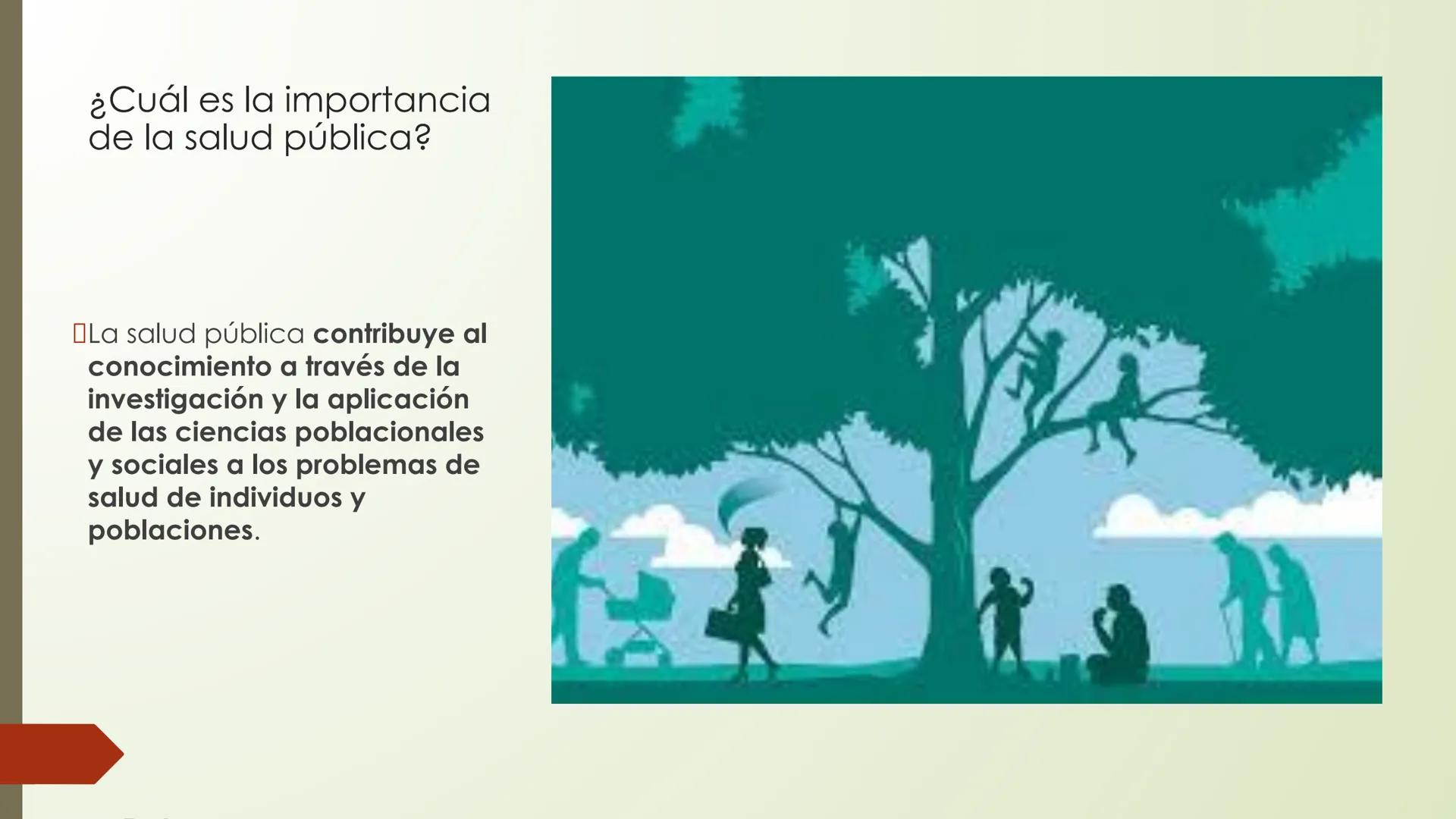 Salud
pública
en Chile
¿Qué es la salud pública en Chile?
¿Cuáles son los problemas de la salud pública en Chile?
¿Qué tan eficiente es la s