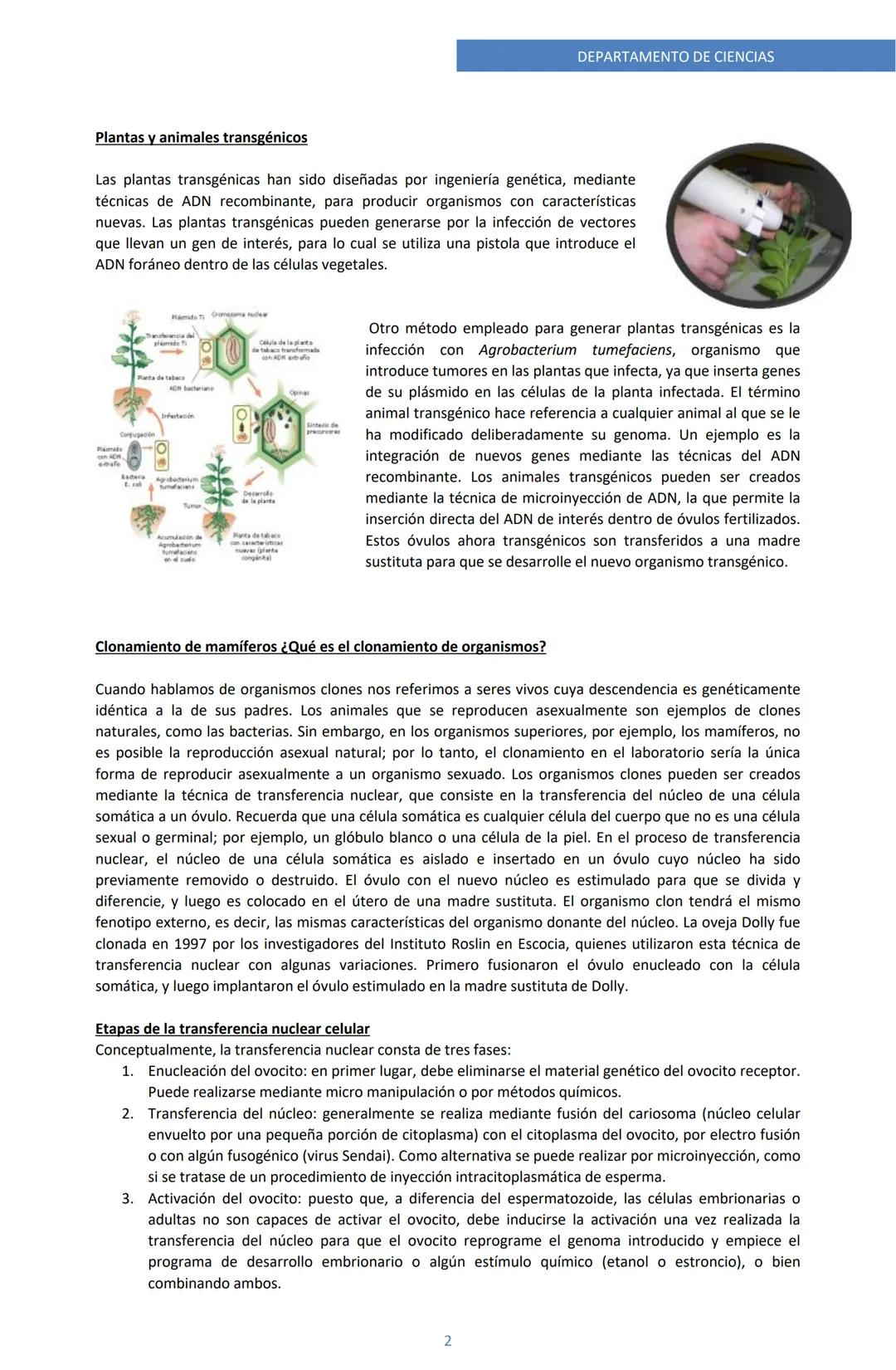 Nombre:
American Academy
Educación es futuro
Unidad 2 genética y ciclo celular
Guía Evaluada de Biotecnología
Biología II° A
Curso:
DEPARTAM