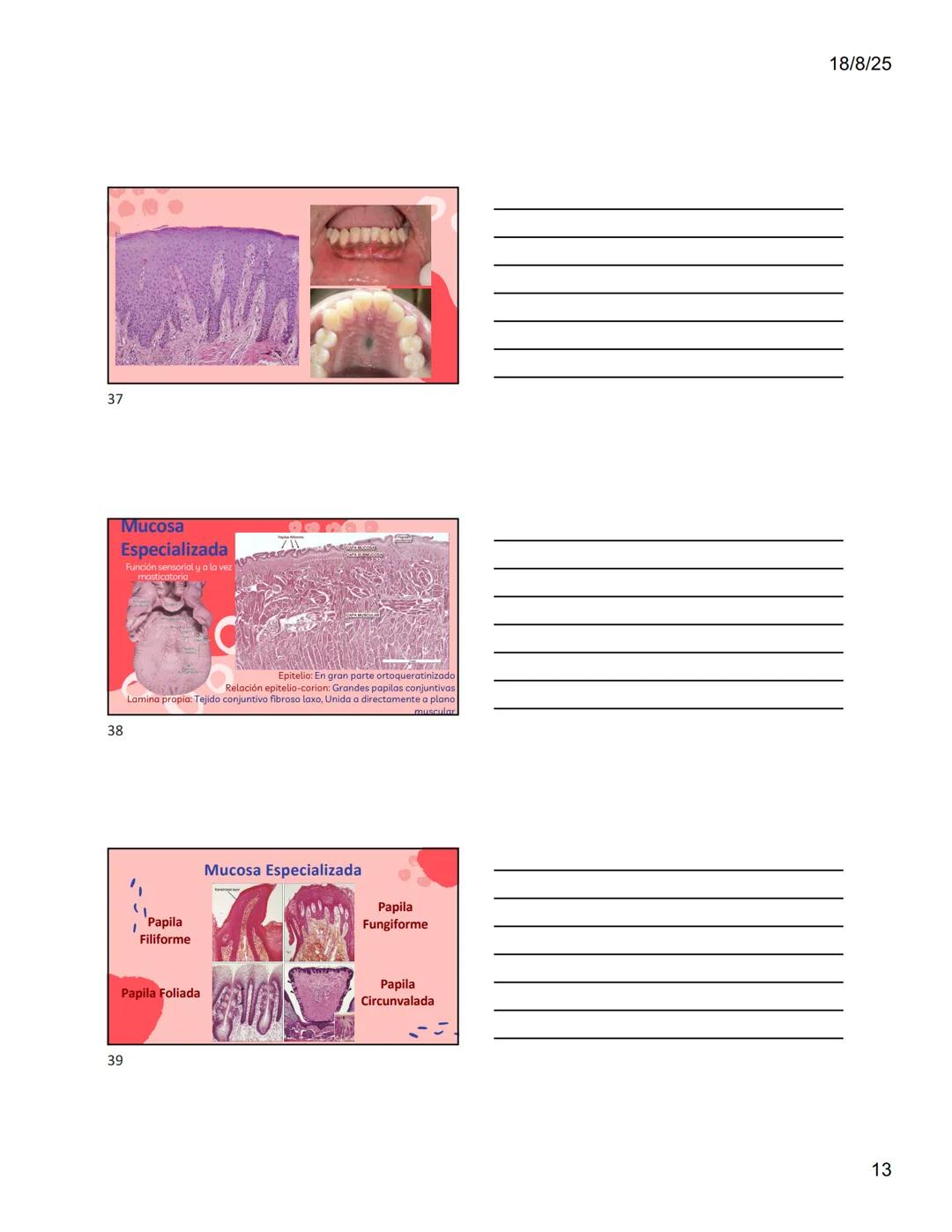 1
Dra. Doris Otero
Histologia Oral
Morfologis Del Sistema
Estomatognático
Mucosa Oral
Contenido
Mucosa -
Generalidades
Mucosa De
Revestimien