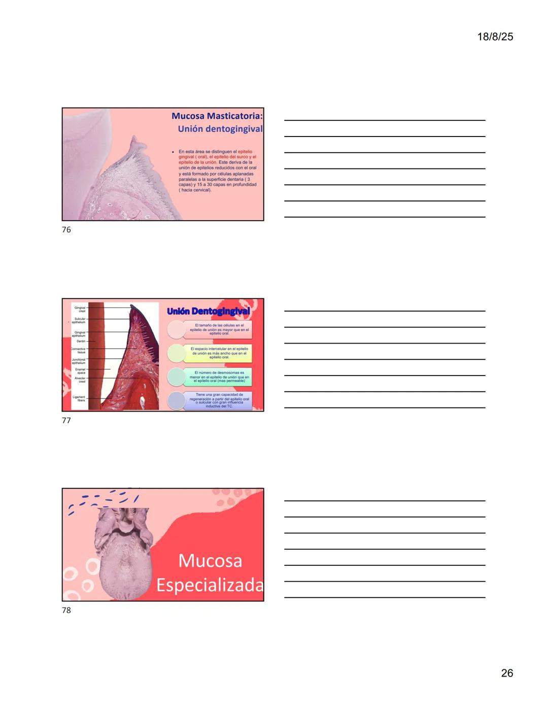 1
Dra. Doris Otero
Histologia Oral
Morfologis Del Sistema
Estomatognático
Mucosa Oral
Contenido
Mucosa -
Generalidades
Mucosa De
Revestimien