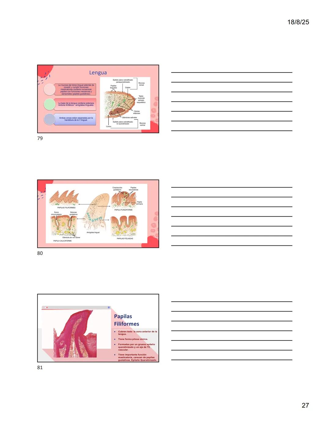 1
Dra. Doris Otero
Histologia Oral
Morfologis Del Sistema
Estomatognático
Mucosa Oral
Contenido
Mucosa -
Generalidades
Mucosa De
Revestimien