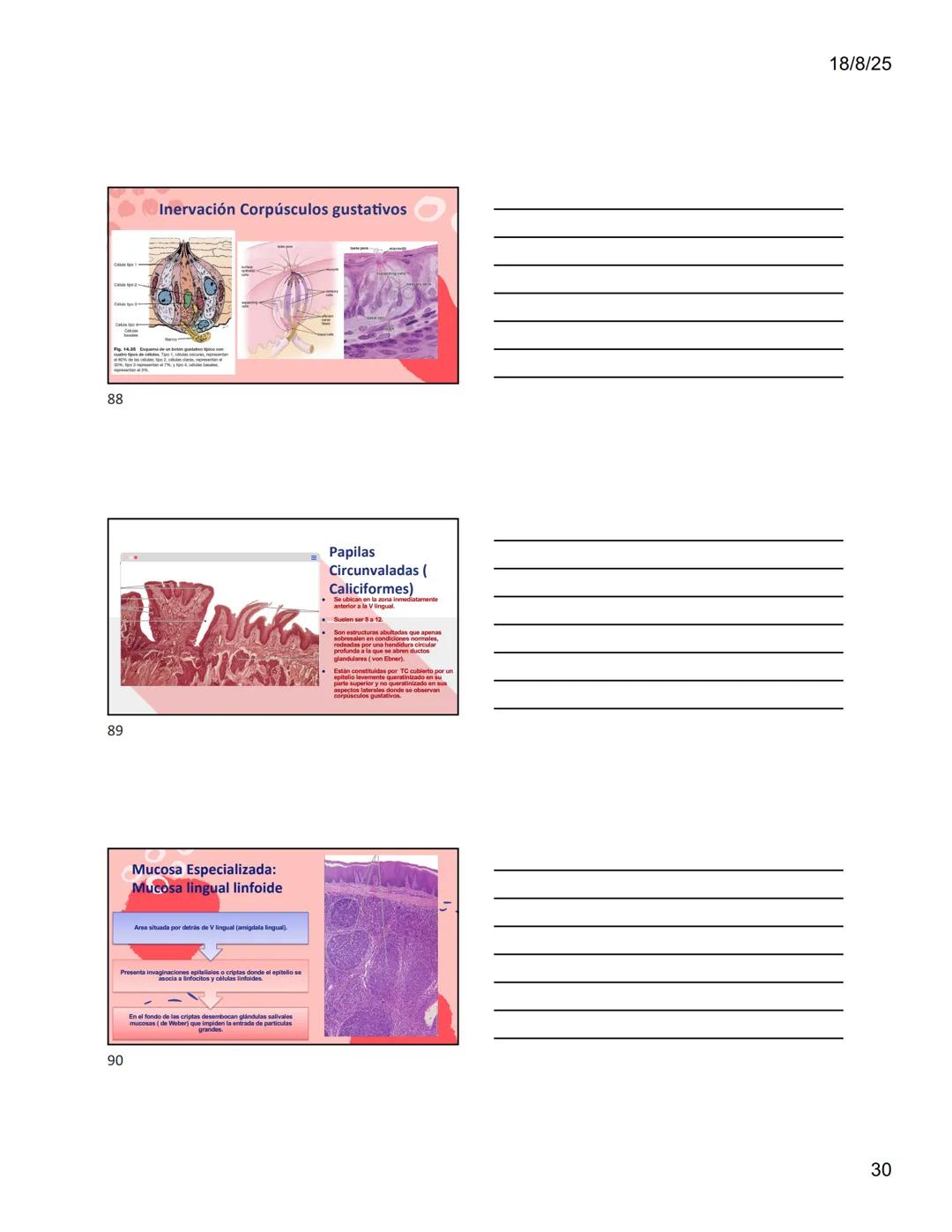1
Dra. Doris Otero
Histologia Oral
Morfologis Del Sistema
Estomatognático
Mucosa Oral
Contenido
Mucosa -
Generalidades
Mucosa De
Revestimien