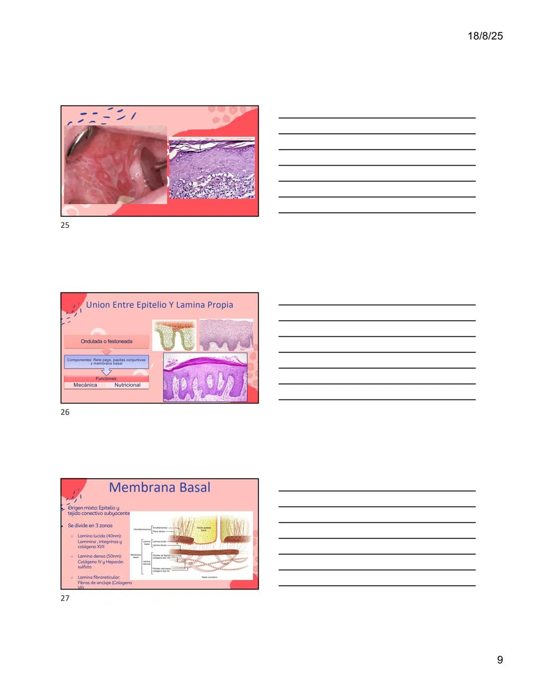1
Dra. Doris Otero
Histologia Oral
Morfologis Del Sistema
Estomatognático
Mucosa Oral
Contenido
Mucosa -
Generalidades
Mucosa De
Revestimien