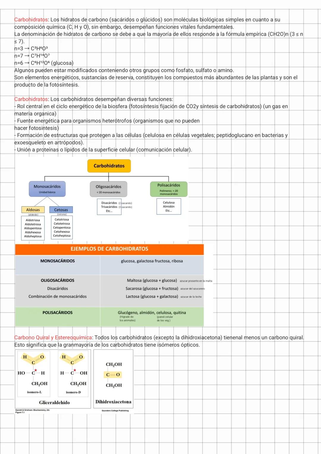 Carbohidratos: Los hidratos de carbono (sacáridos o glúcidos) son moléculas biológicas simples en cuanto a su
composición química (C, H y O)