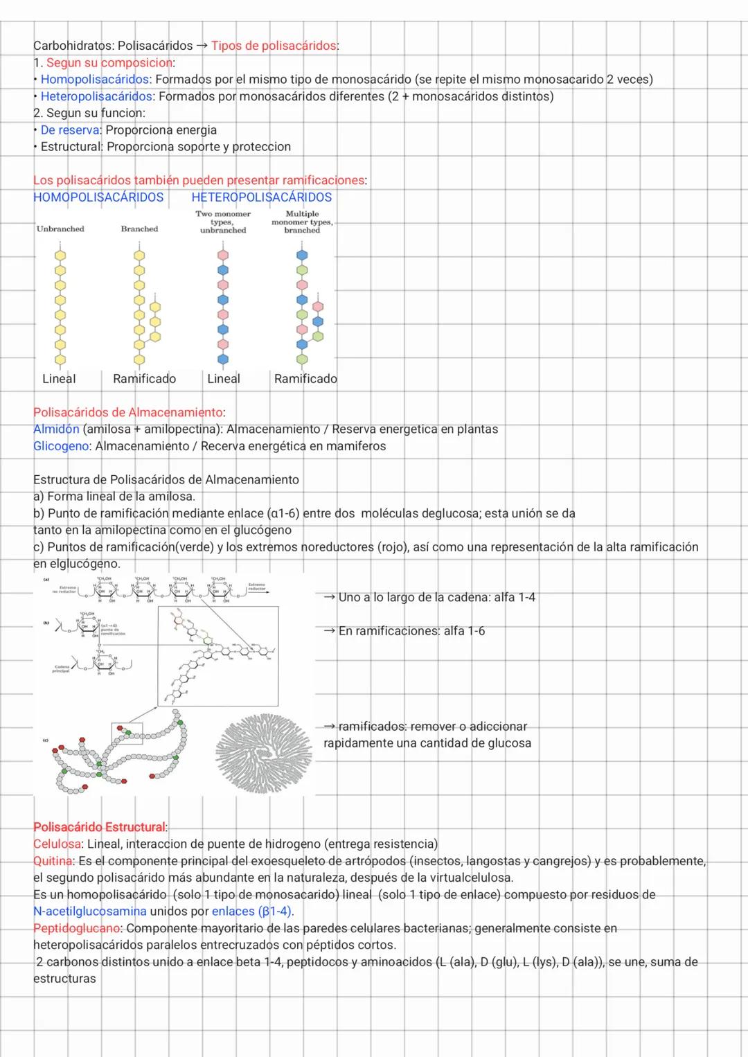 Carbohidratos: Los hidratos de carbono (sacáridos o glúcidos) son moléculas biológicas simples en cuanto a su
composición química (C, H y O)