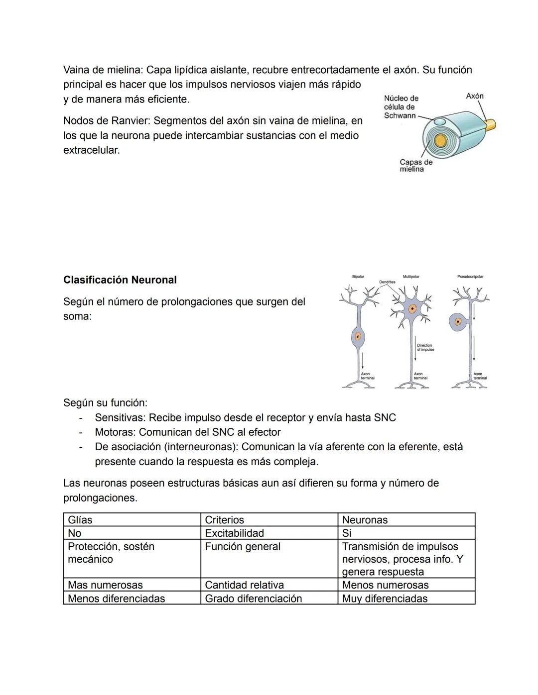 El Sistema Nervioso
El sistema nervioso es, junto al endocrino, uno de los sistemas de integración funcional
del organismo. (trabajan juntos