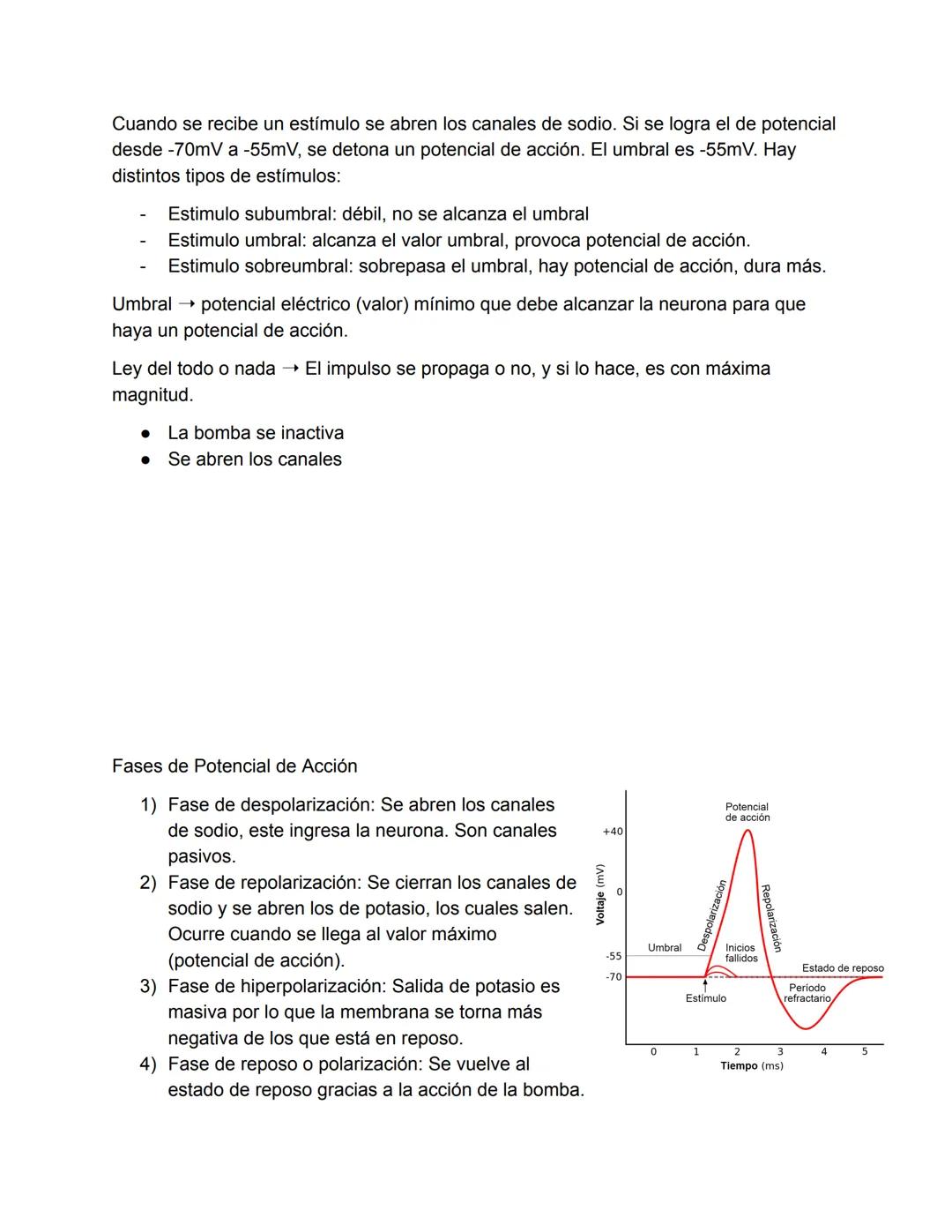 El Sistema Nervioso
El sistema nervioso es, junto al endocrino, uno de los sistemas de integración funcional
del organismo. (trabajan juntos