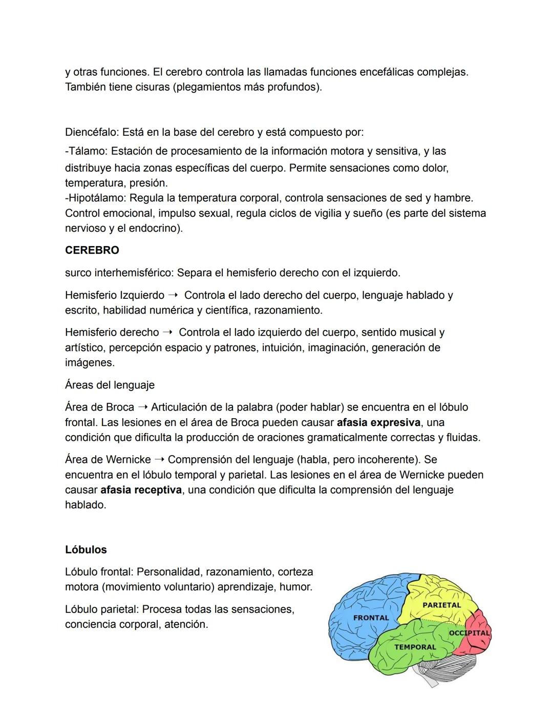 El Sistema Nervioso
El sistema nervioso es, junto al endocrino, uno de los sistemas de integración funcional
del organismo. (trabajan juntos