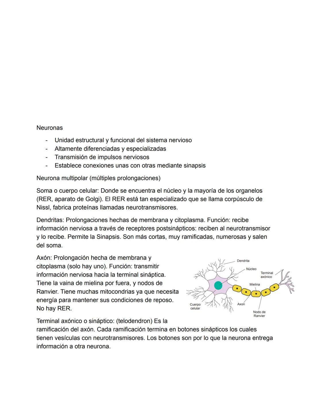 El Sistema Nervioso
El sistema nervioso es, junto al endocrino, uno de los sistemas de integración funcional
del organismo. (trabajan juntos