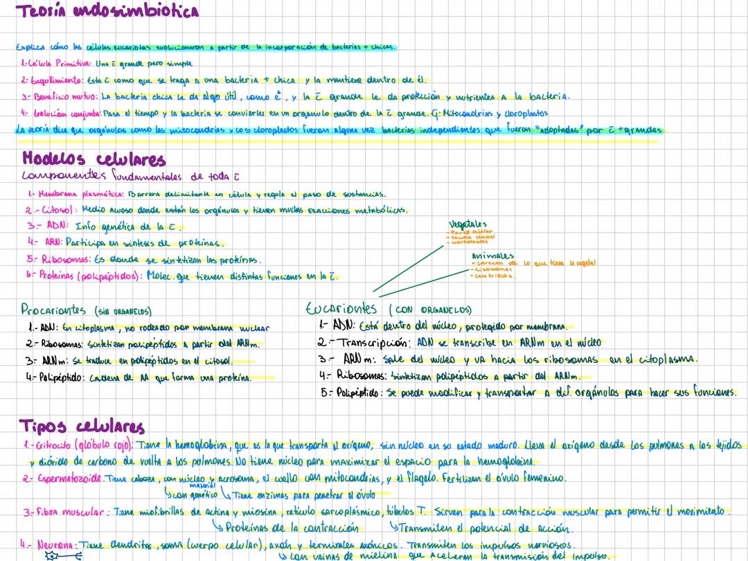 Teoría endosimbiotica, modelos celulares, tipos celulares y propiedades del ser vivo