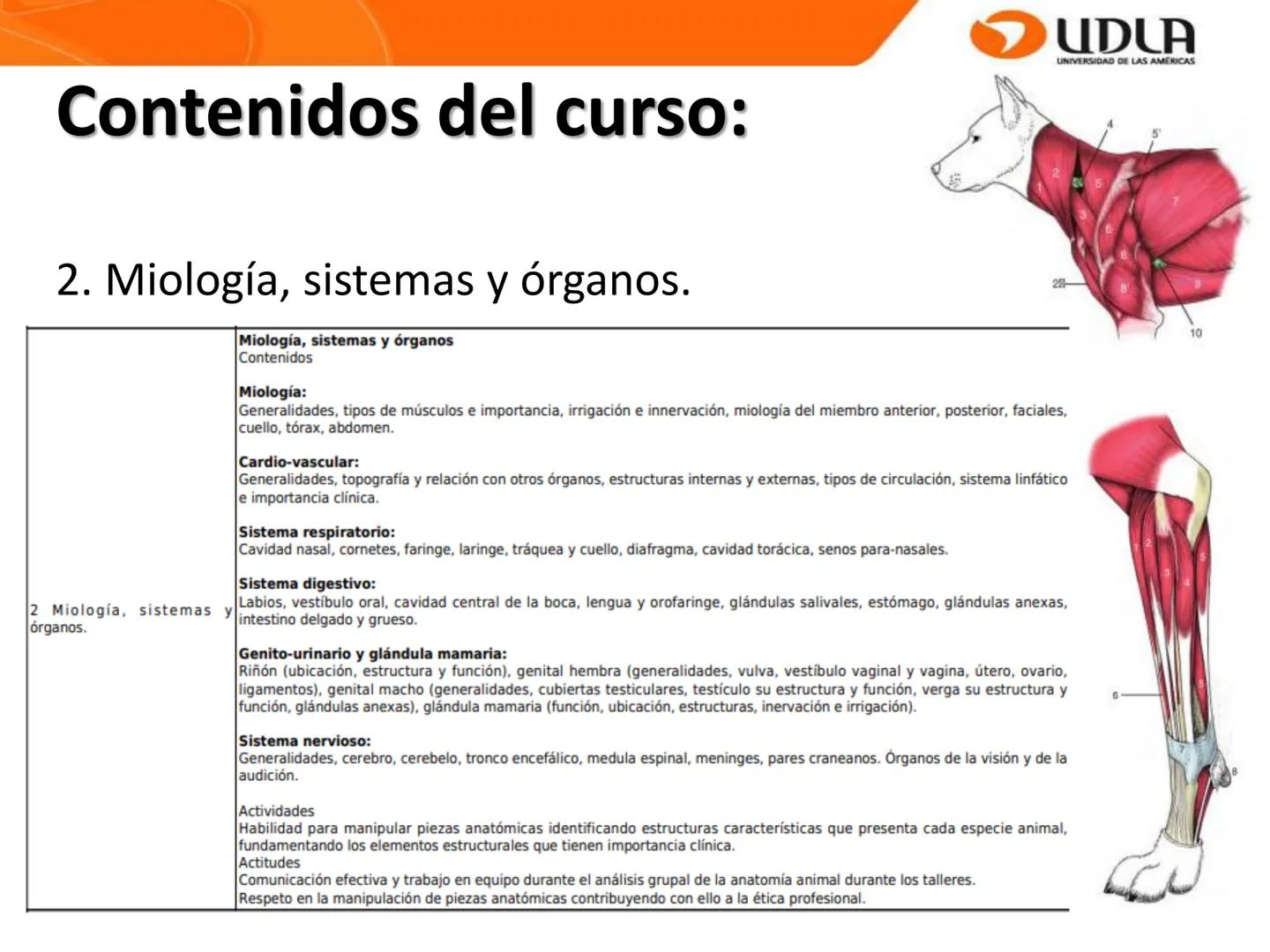 UDLA
UNIVERSIDAD DE LAS AMÉRICAS
Bienvenidos a
ANATOMÍA del CANINO
CVE292 - 2025
M.V. Mariantú Robles Z.
mariantu.robles@edu.udla.cl
MEDICIN