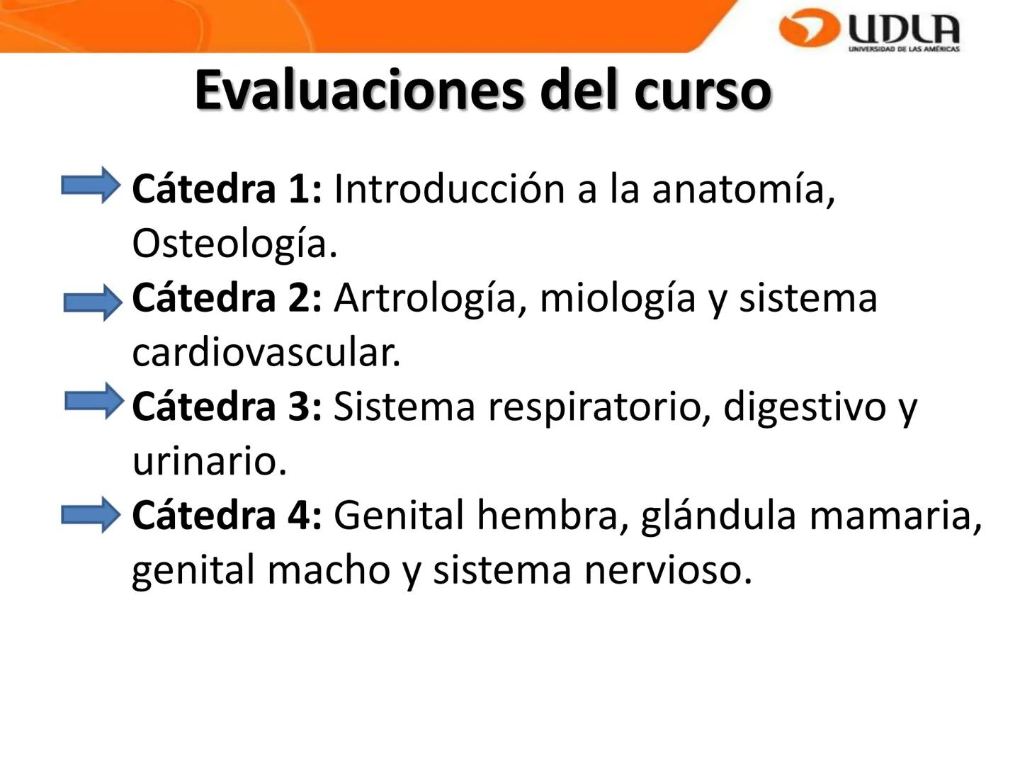 UDLA
UNIVERSIDAD DE LAS AMÉRICAS
Bienvenidos a
ANATOMÍA del CANINO
CVE292 - 2025
M.V. Mariantú Robles Z.
mariantu.robles@edu.udla.cl
MEDICIN