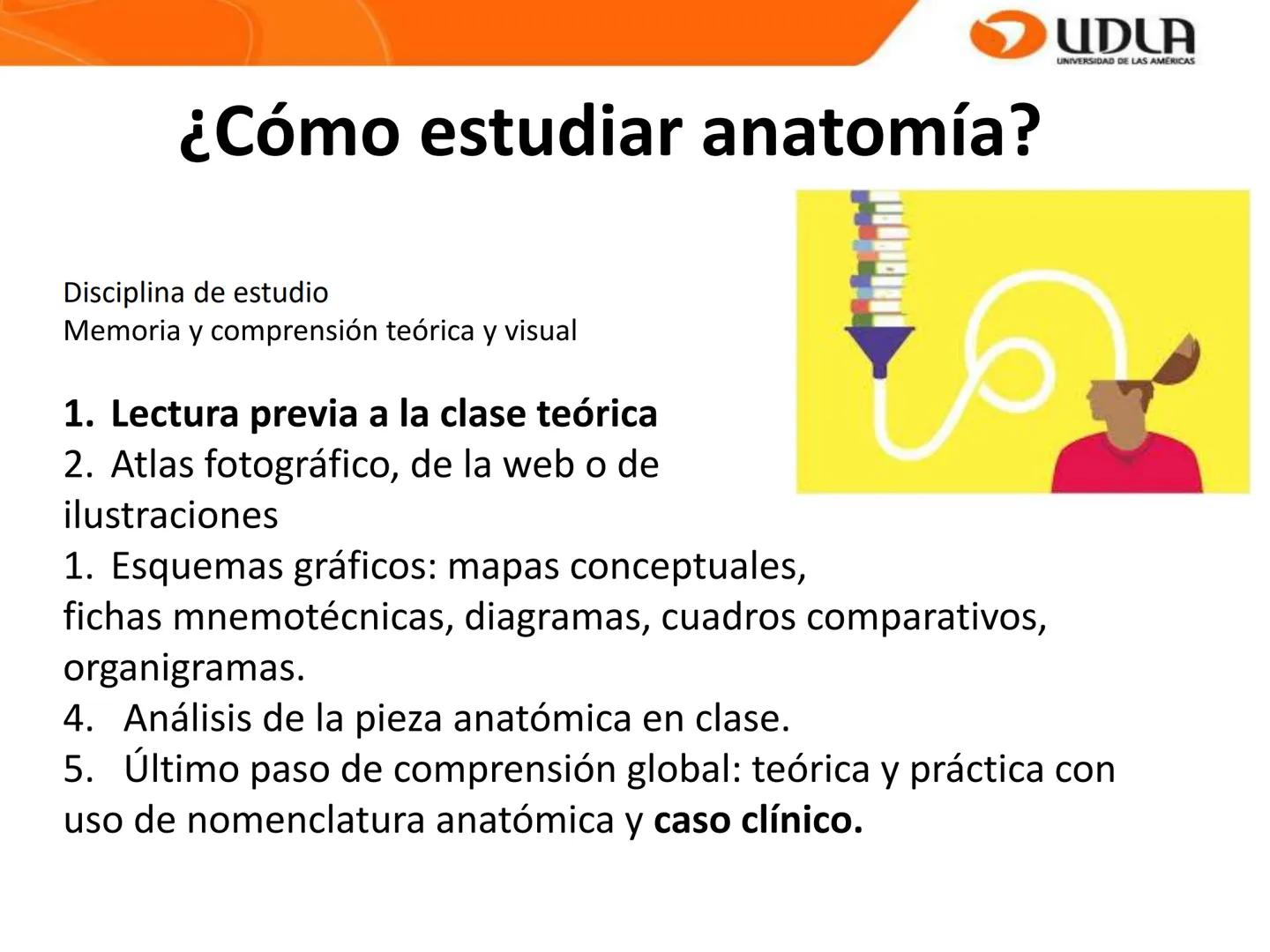 UDLA
UNIVERSIDAD DE LAS AMÉRICAS
Bienvenidos a
ANATOMÍA del CANINO
CVE292 - 2025
M.V. Mariantú Robles Z.
mariantu.robles@edu.udla.cl
MEDICIN