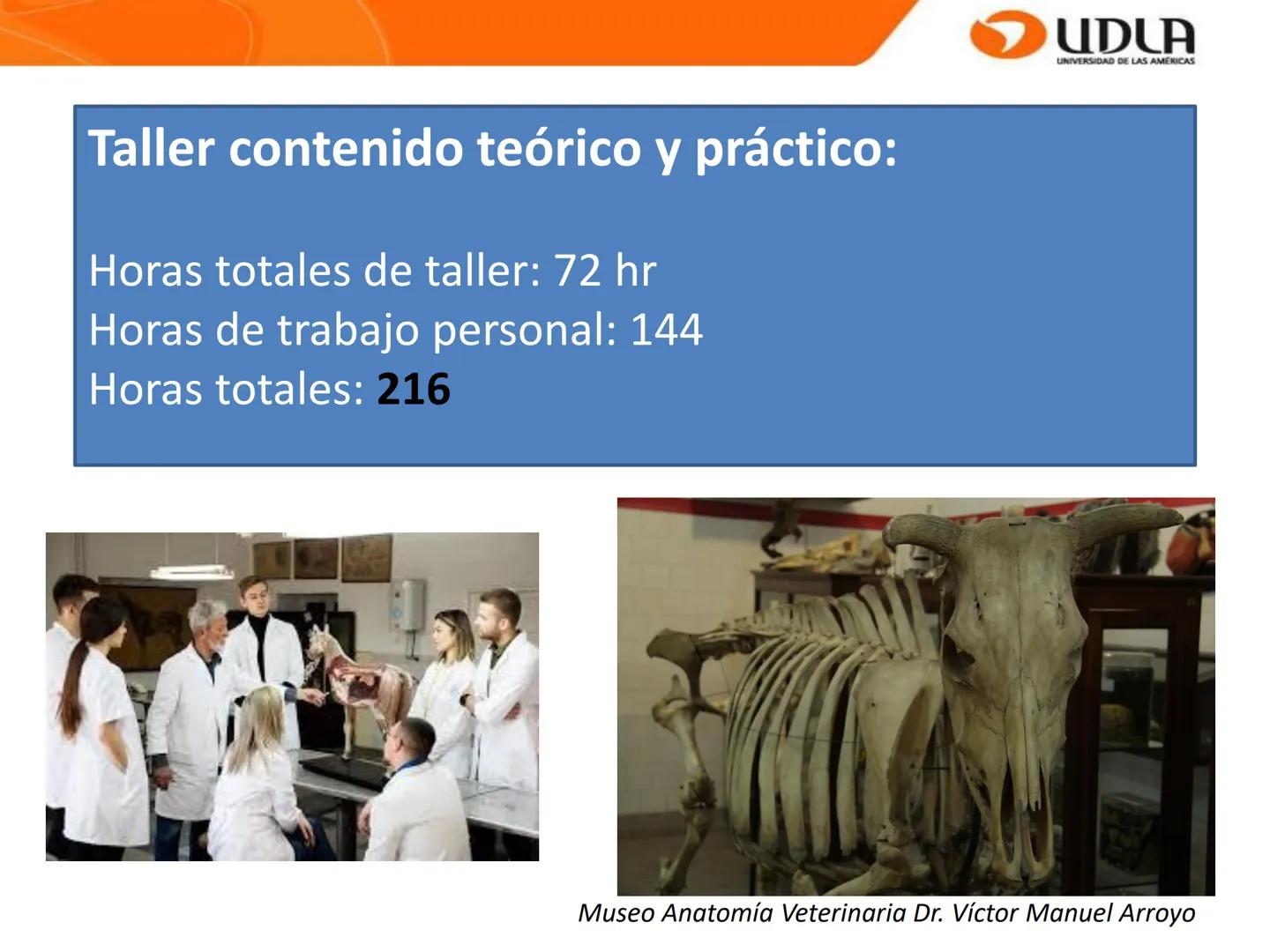 UDLA
UNIVERSIDAD DE LAS AMÉRICAS
Bienvenidos a
ANATOMÍA del CANINO
CVE292 - 2025
M.V. Mariantú Robles Z.
mariantu.robles@edu.udla.cl
MEDICIN