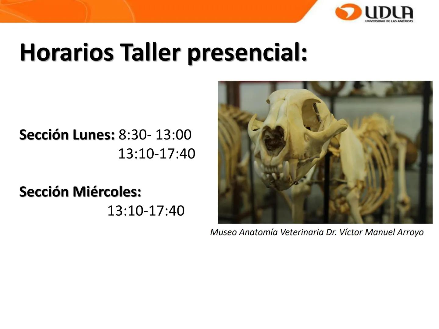 UDLA
UNIVERSIDAD DE LAS AMÉRICAS
Bienvenidos a
ANATOMÍA del CANINO
CVE292 - 2025
M.V. Mariantú Robles Z.
mariantu.robles@edu.udla.cl
MEDICIN