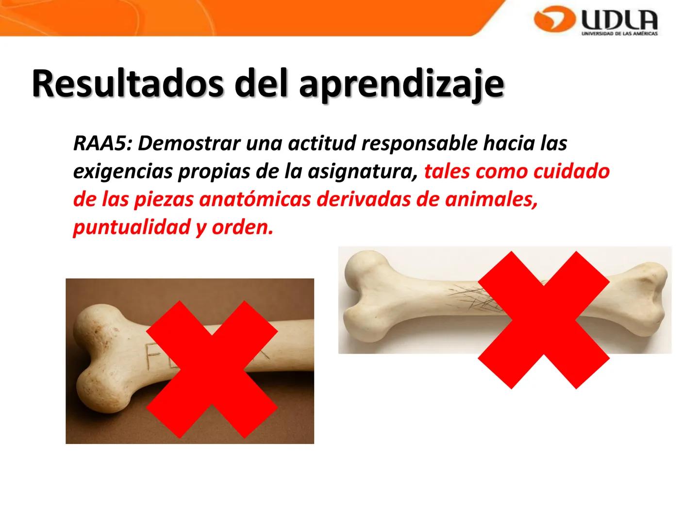 UDLA
UNIVERSIDAD DE LAS AMÉRICAS
Bienvenidos a
ANATOMÍA del CANINO
CVE292 - 2025
M.V. Mariantú Robles Z.
mariantu.robles@edu.udla.cl
MEDICIN