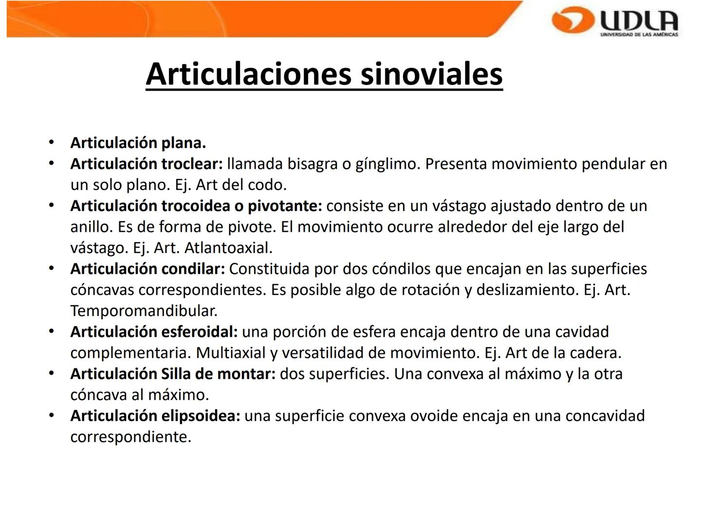 UDLA
UNIVERSIDAD DE LAS AMÉRICAS
Bienvenidos a
ΑΝΑΤΟΜΙΑ del CANINO
CVE292 - 2025
M.V. Mariantú Robles Z.
mariantu.robles@edu.udla.cl
MEDICIN