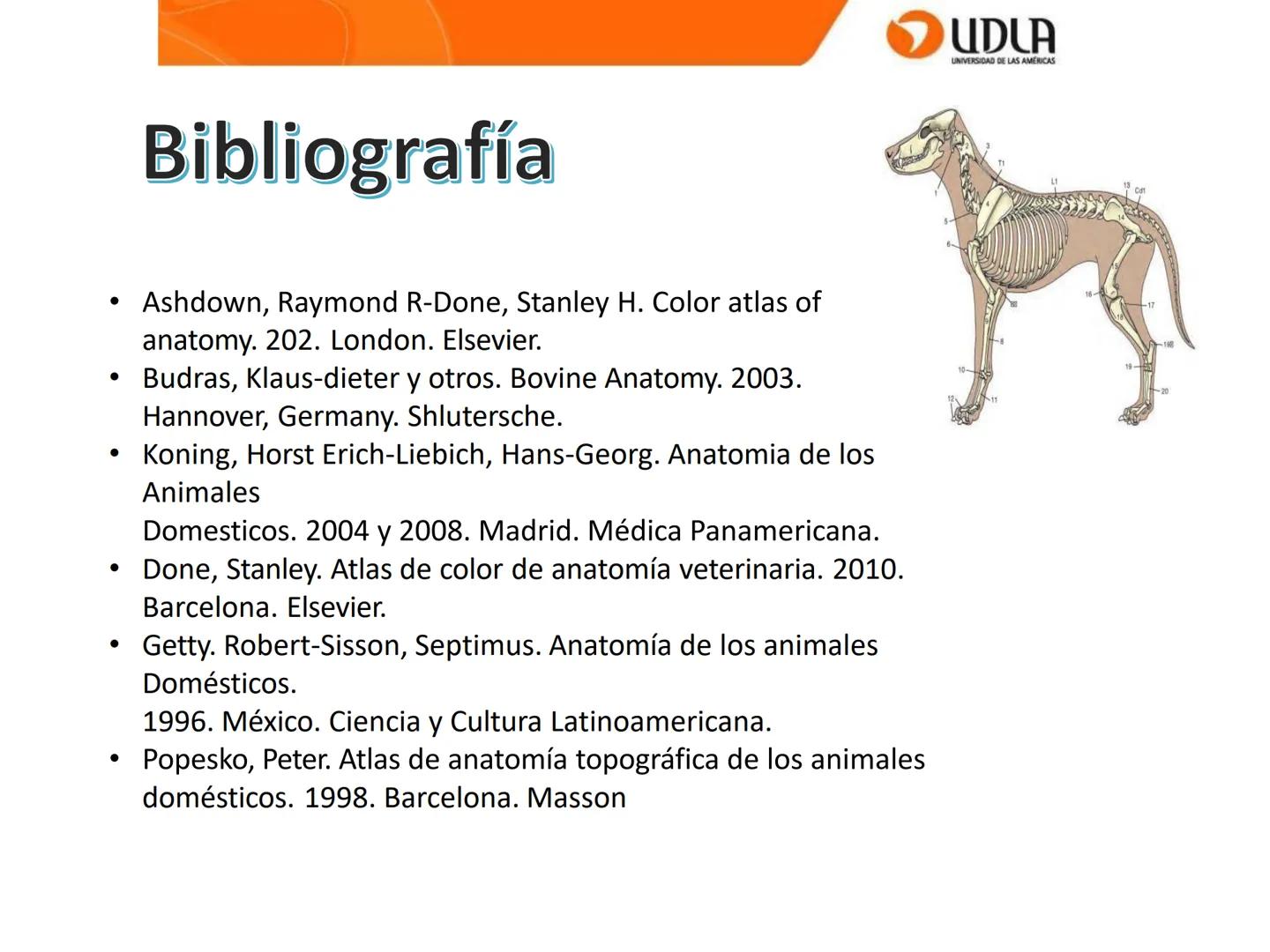 UDLA
UNIVERSIDAD DE LAS AMÉRICAS
Bienvenidos a
ΑΝΑΤΟΜΙΑ del CANINO
CVE292 - 2025
M.V. Mariantú Robles Z.
mariantu.robles@edu.udla.cl
MEDICIN