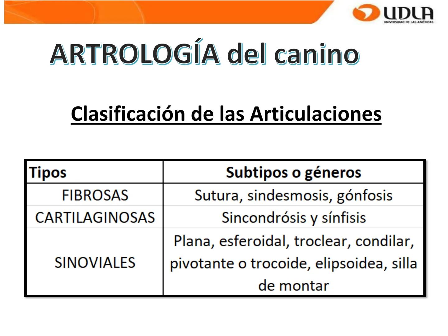 UDLA
UNIVERSIDAD DE LAS AMÉRICAS
Bienvenidos a
ΑΝΑΤΟΜΙΑ del CANINO
CVE292 - 2025
M.V. Mariantú Robles Z.
mariantu.robles@edu.udla.cl
MEDICIN