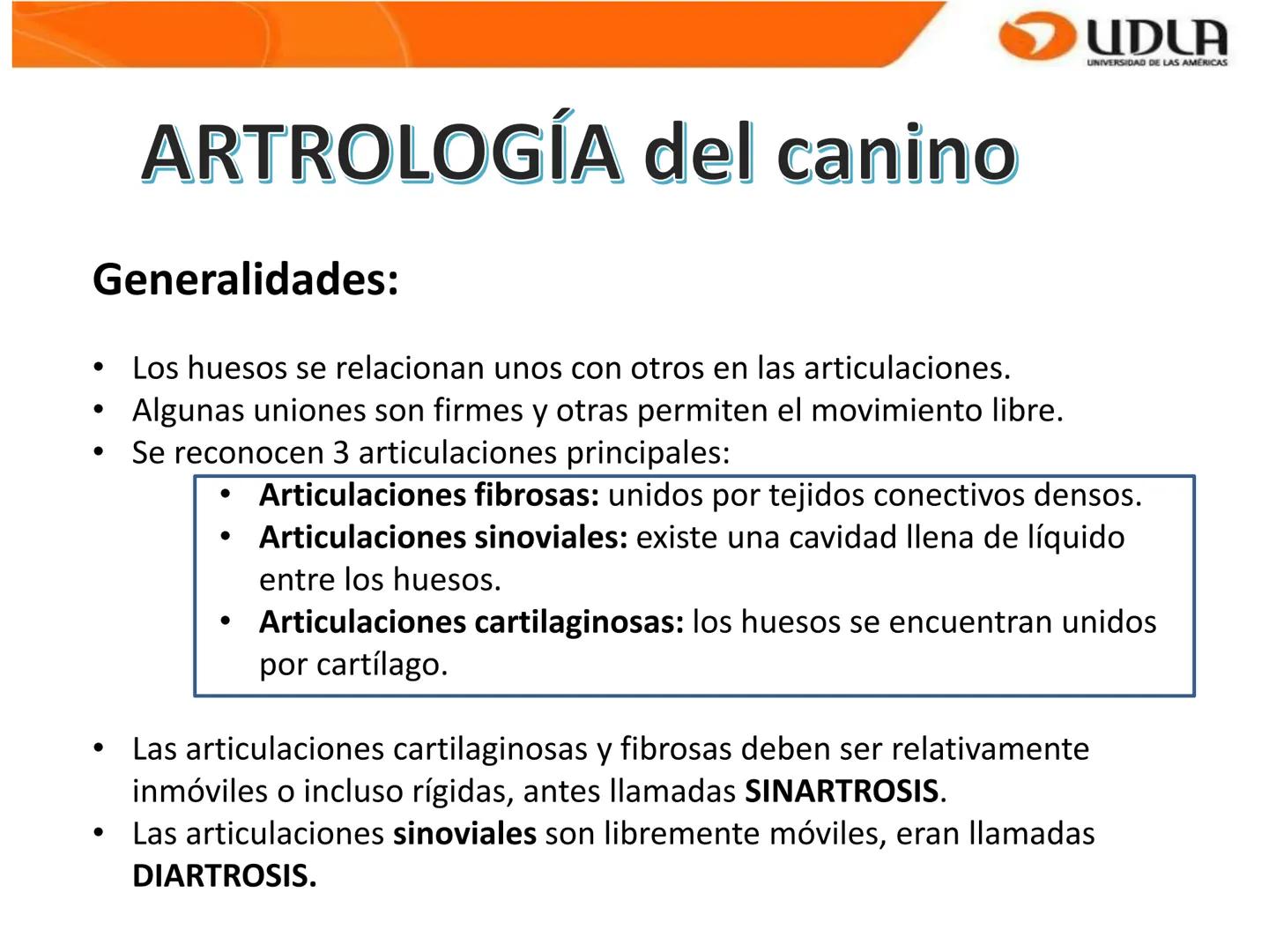 UDLA
UNIVERSIDAD DE LAS AMÉRICAS
Bienvenidos a
ΑΝΑΤΟΜΙΑ del CANINO
CVE292 - 2025
M.V. Mariantú Robles Z.
mariantu.robles@edu.udla.cl
MEDICIN