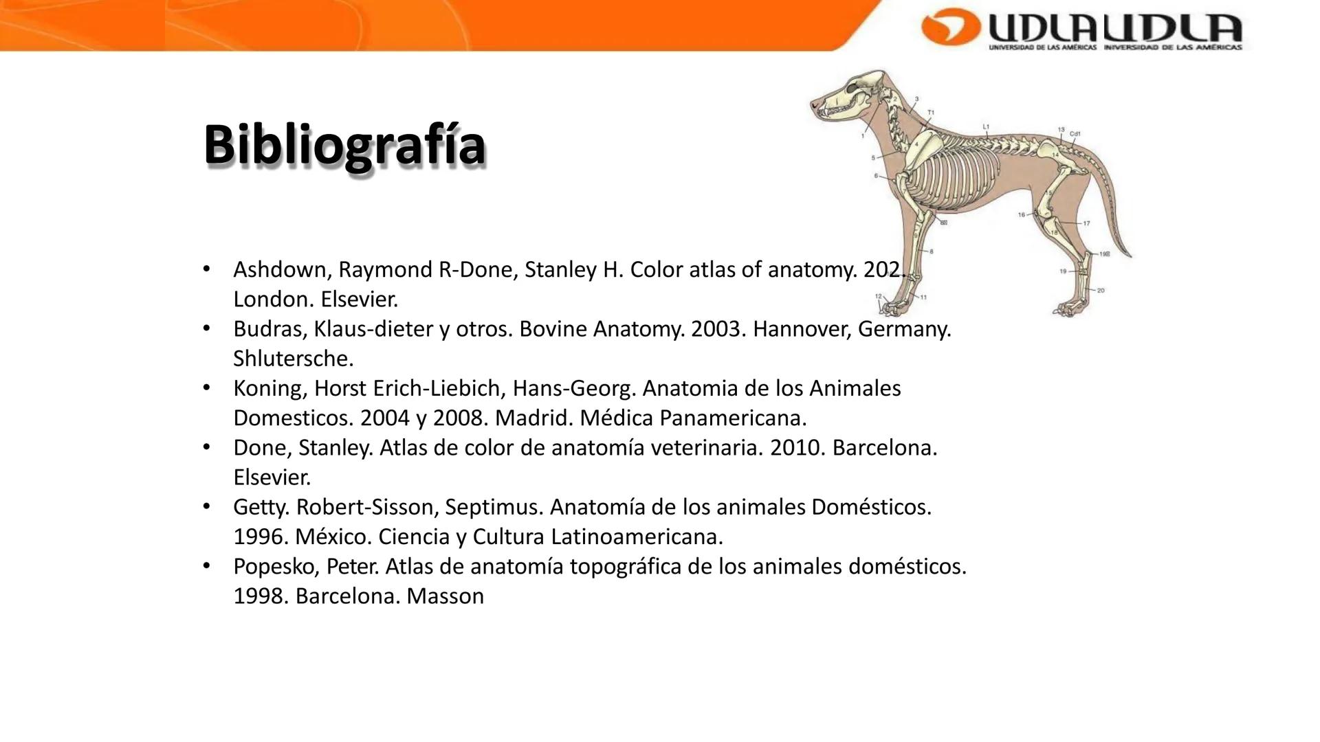 UDLA
UNIVERSIDAD DE LAS AMERICAS
Bienvenidos a
ANATOMÍA del CANINO
CVE292 - 2025
M.V. Mariantú Robles Z.
MEDICINA VETERINARIA
FACULTAD DE ME