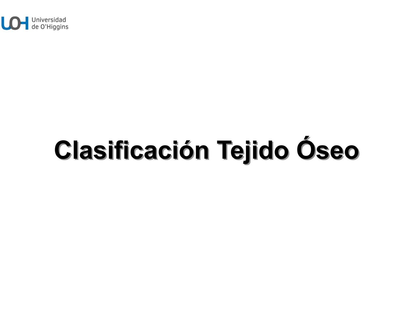 # Generalidades anatómicas
Osteología y artrología # Objetivos
- Identificar las generalidades del sistema
musculo-esquelético y tegumentar