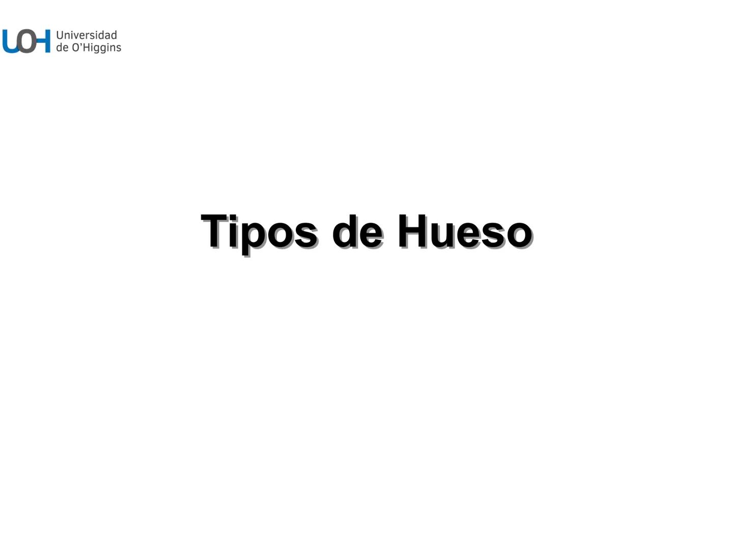 # Generalidades anatómicas
Osteología y artrología # Objetivos
- Identificar las generalidades del sistema
musculo-esquelético y tegumentar