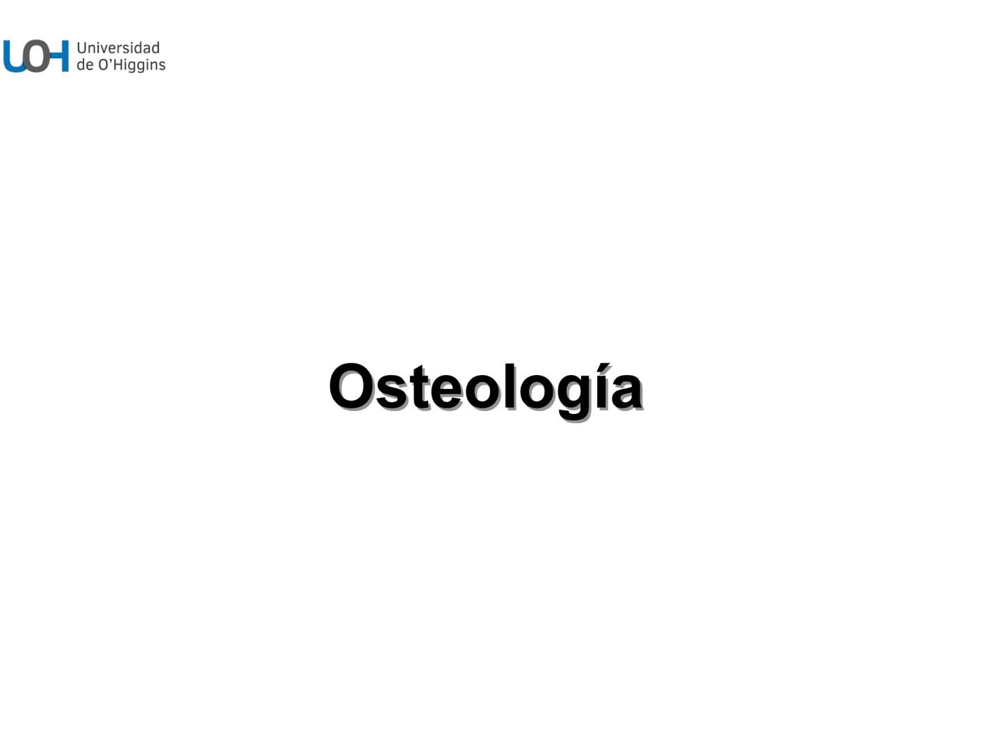 # Generalidades anatómicas
Osteología y artrología # Objetivos
- Identificar las generalidades del sistema
musculo-esquelético y tegumentar