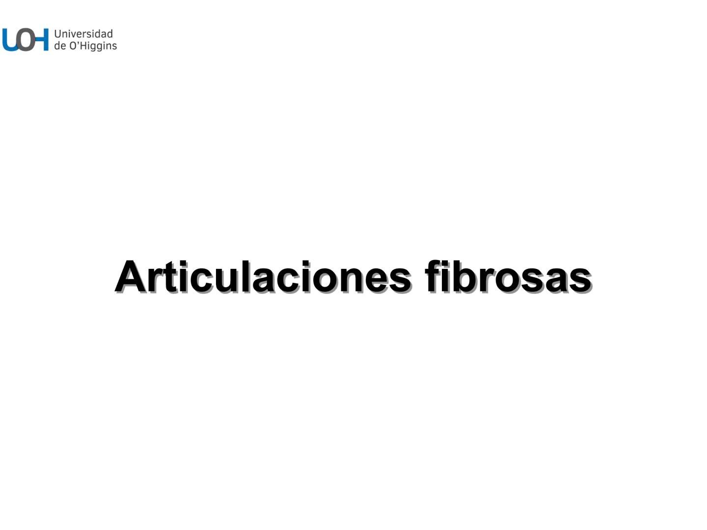 # Generalidades anatómicas
Osteología y artrología # Objetivos
- Identificar las generalidades del sistema
musculo-esquelético y tegumentar