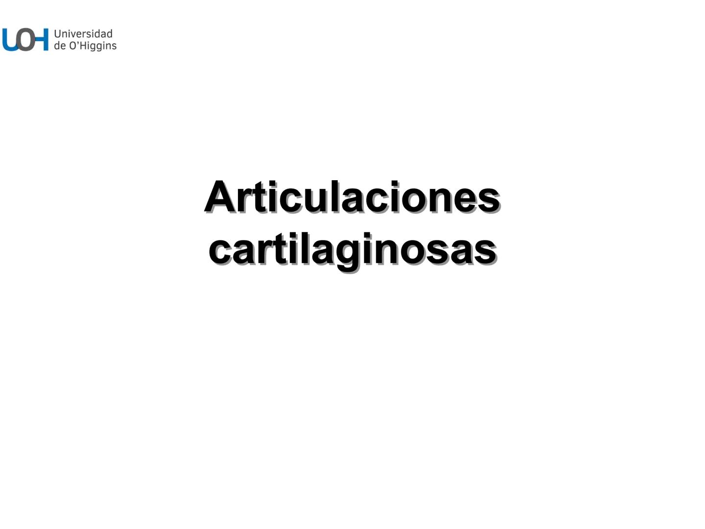 # Generalidades anatómicas
Osteología y artrología # Objetivos
- Identificar las generalidades del sistema
musculo-esquelético y tegumentar