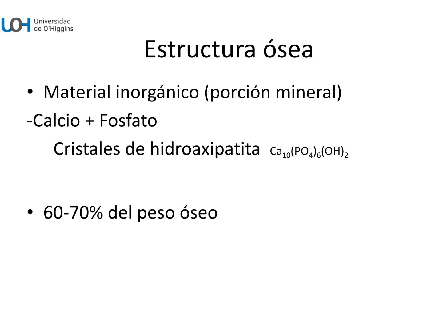 # Generalidades anatómicas
Osteología y artrología # Objetivos
- Identificar las generalidades del sistema
musculo-esquelético y tegumentar