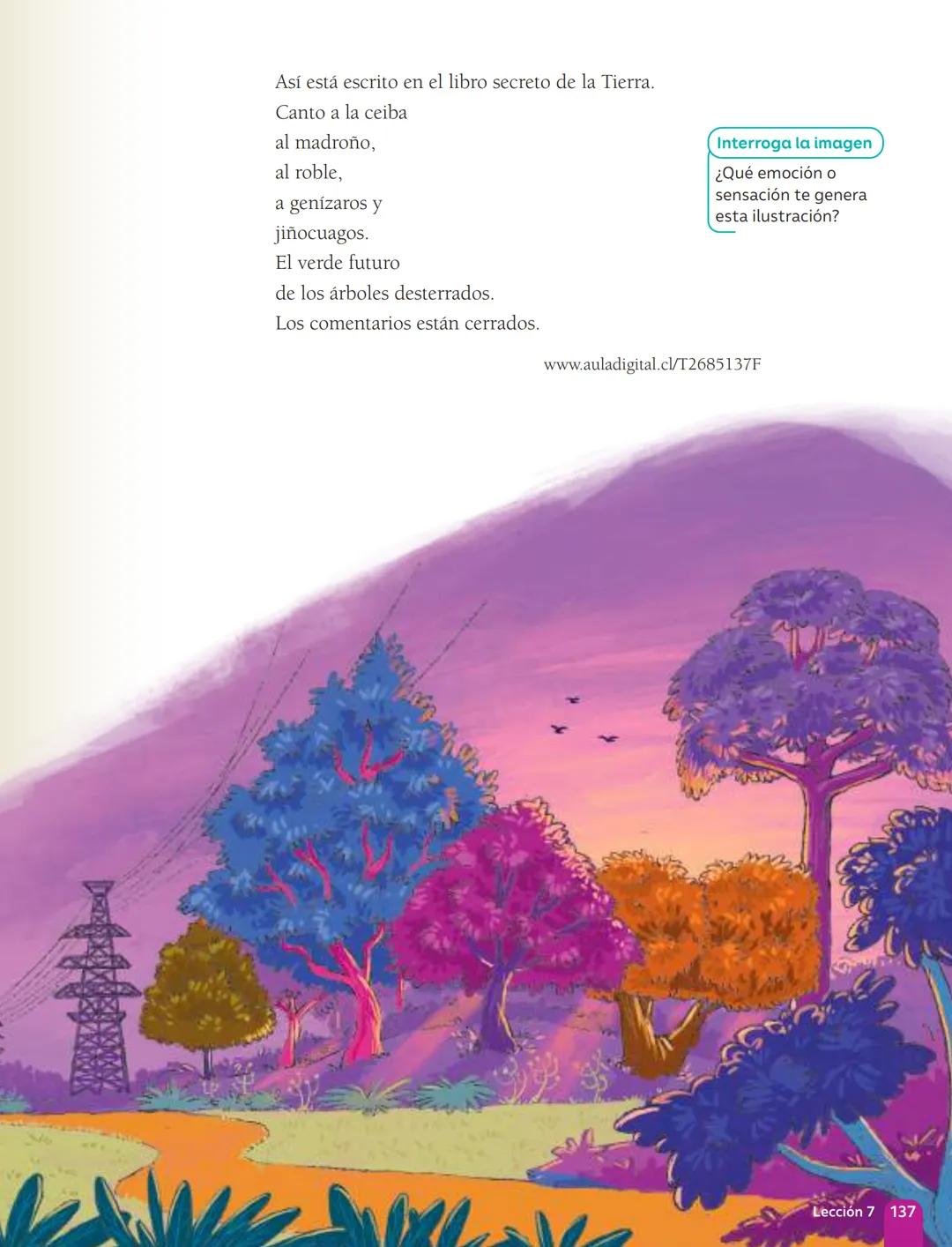 TEXTO DEL ESTUDIANTE
Lenguaje y
Comunicación
Fabián Fernández López
Cielo Ospina Canencio
Paula Rivera Donoso
Natalia Romero Quintanilla
Ant