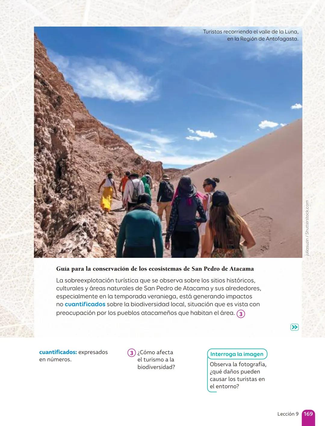 TEXTO DEL ESTUDIANTE
Lenguaje y
Comunicación
Fabián Fernández López
Cielo Ospina Canencio
Paula Rivera Donoso
Natalia Romero Quintanilla
Ant