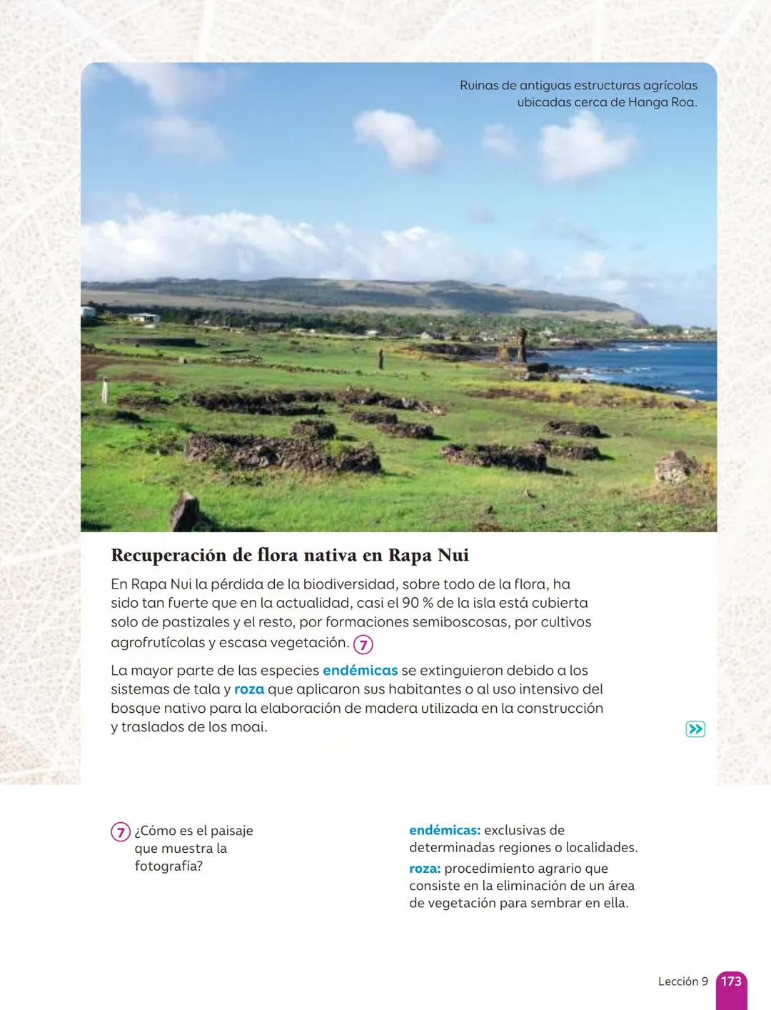 TEXTO DEL ESTUDIANTE
Lenguaje y
Comunicación
Fabián Fernández López
Cielo Ospina Canencio
Paula Rivera Donoso
Natalia Romero Quintanilla
Ant